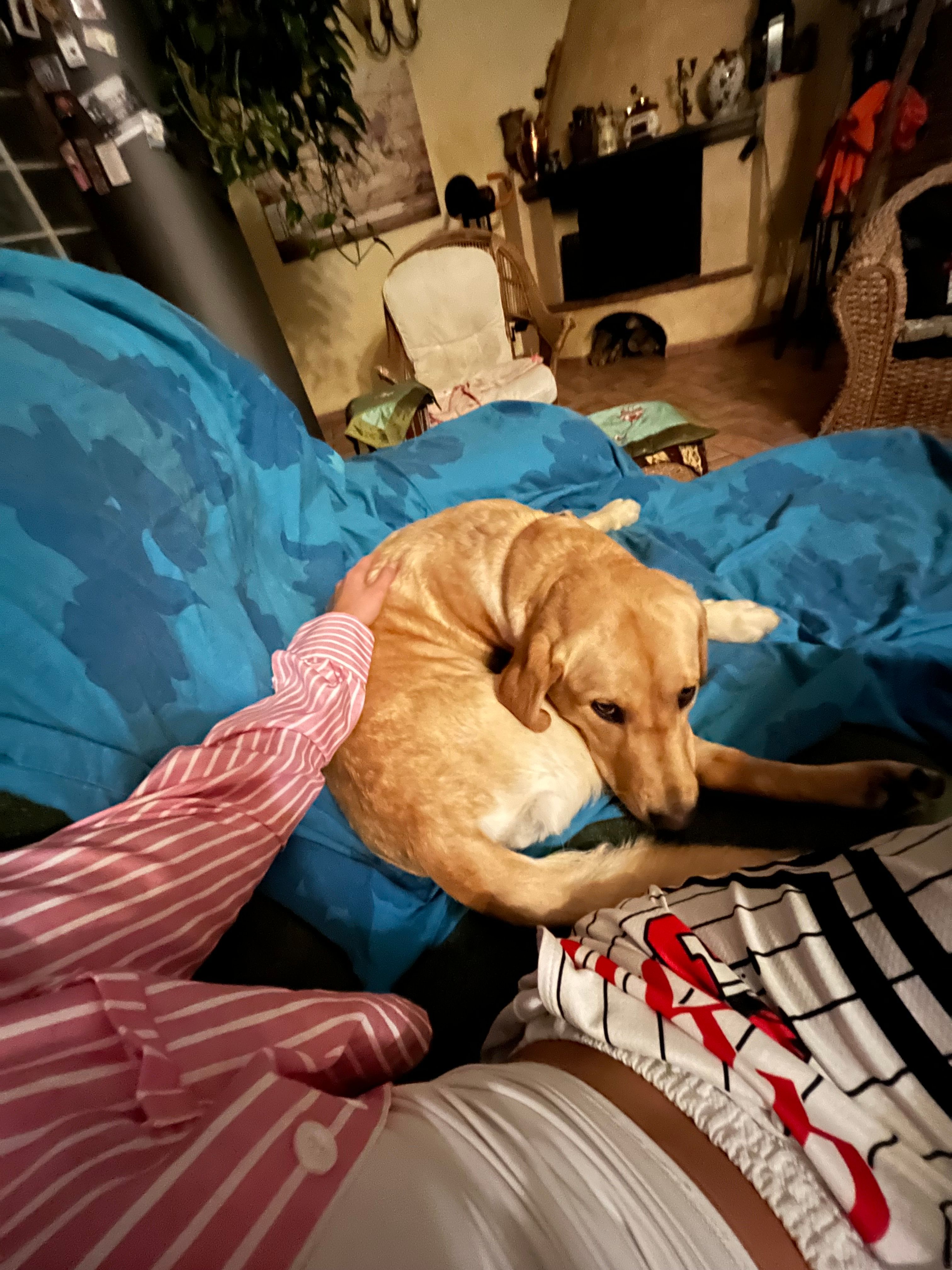 image-7