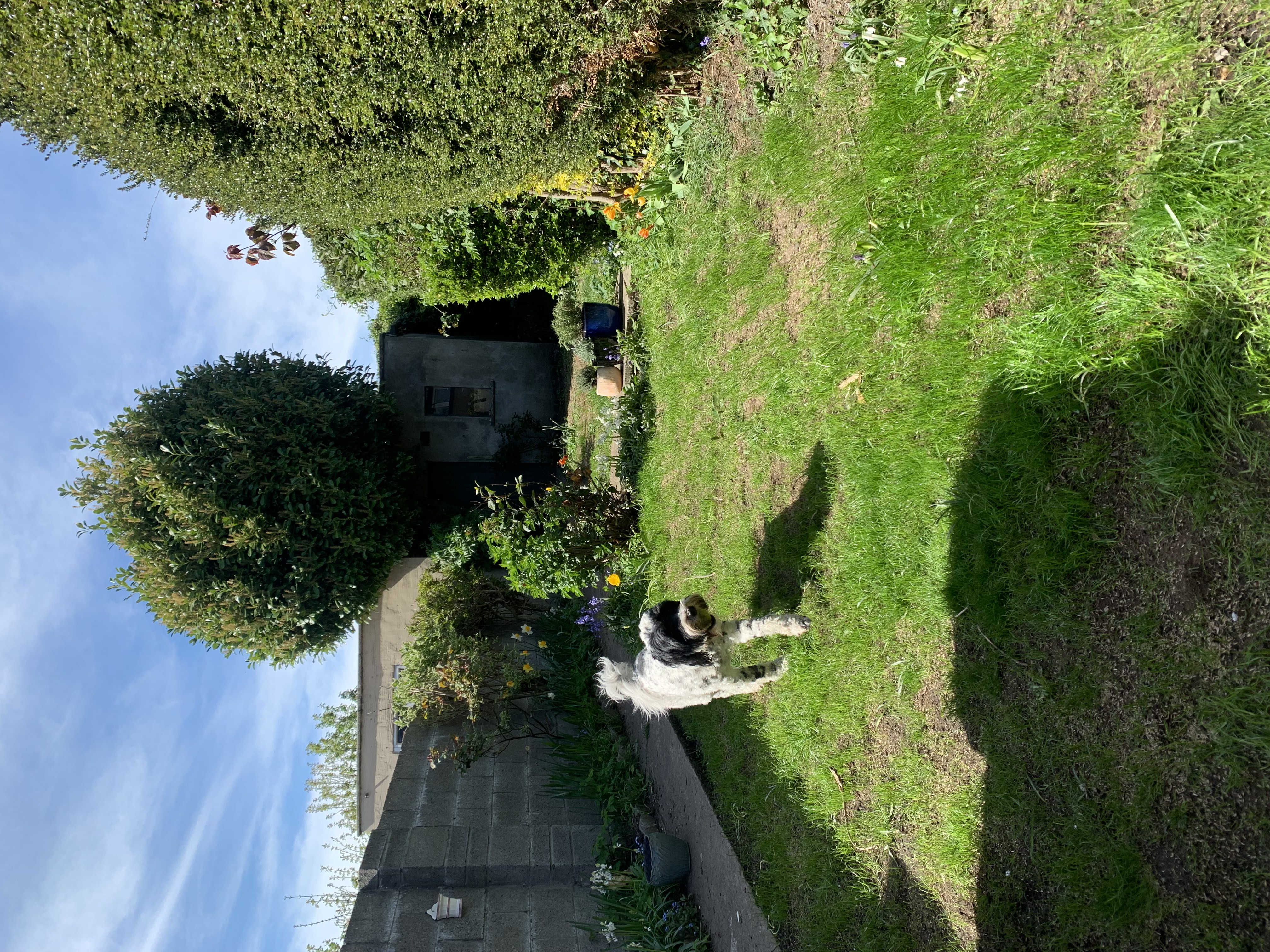 image-12