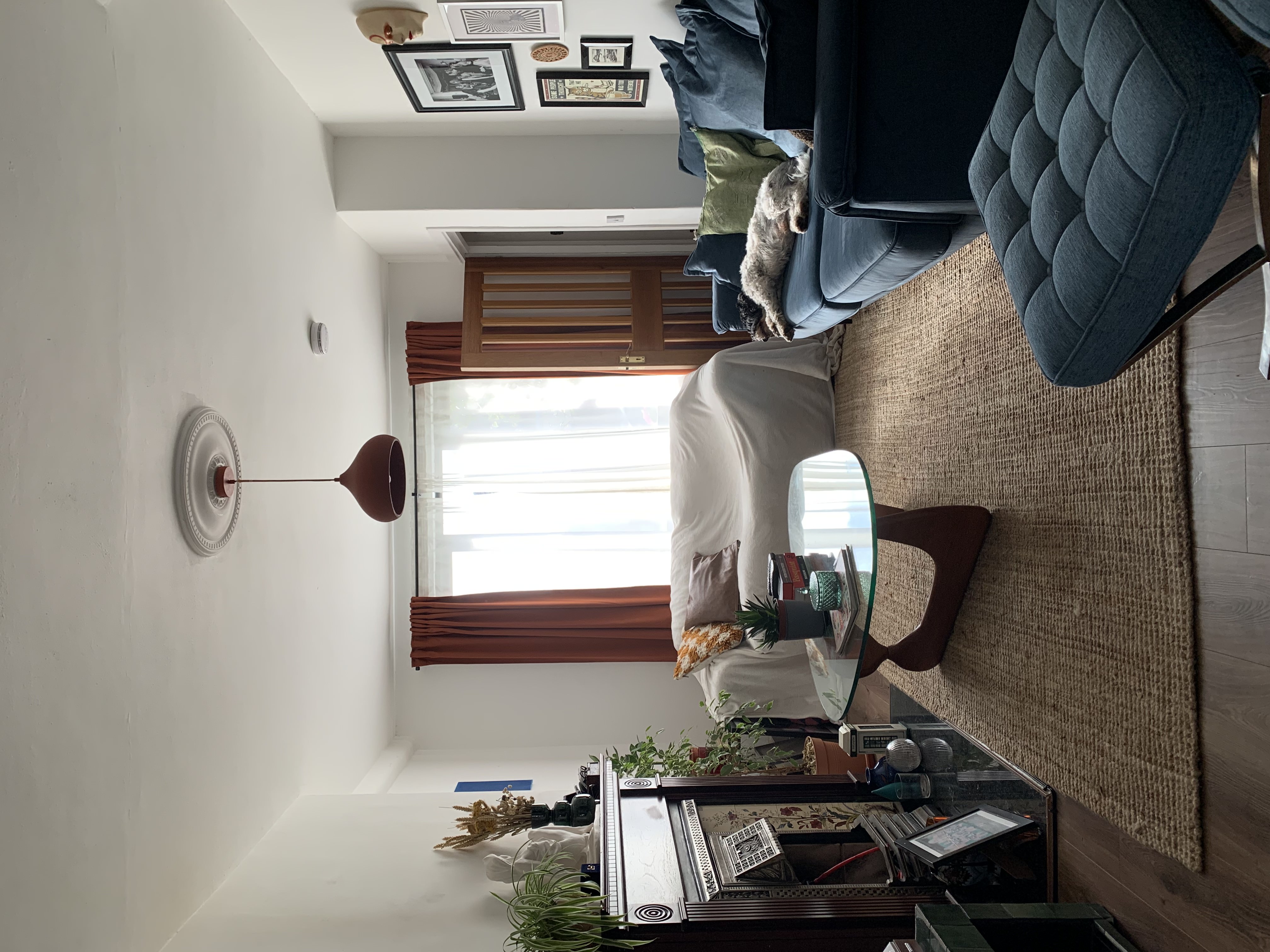 image-14