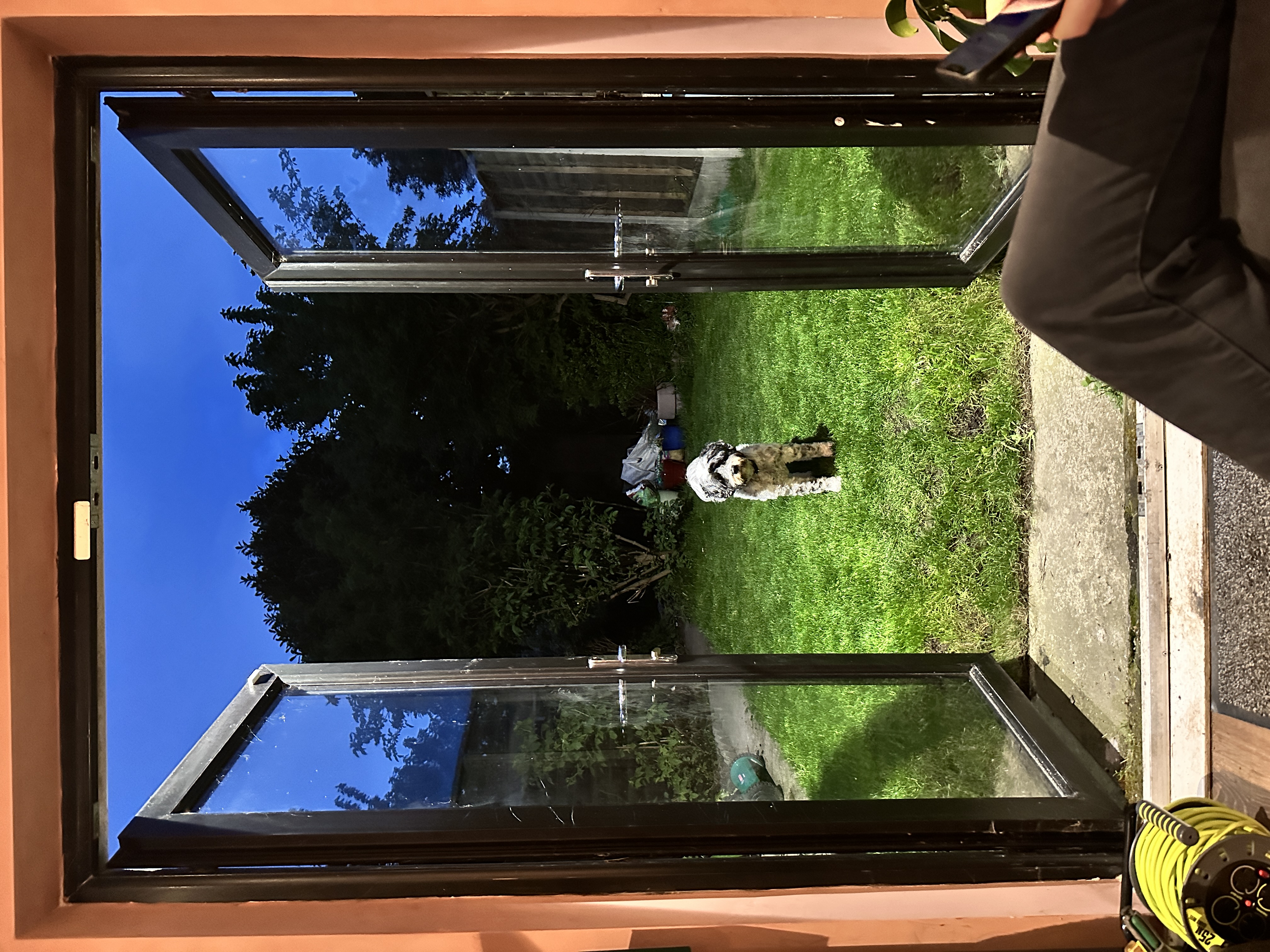 image-17