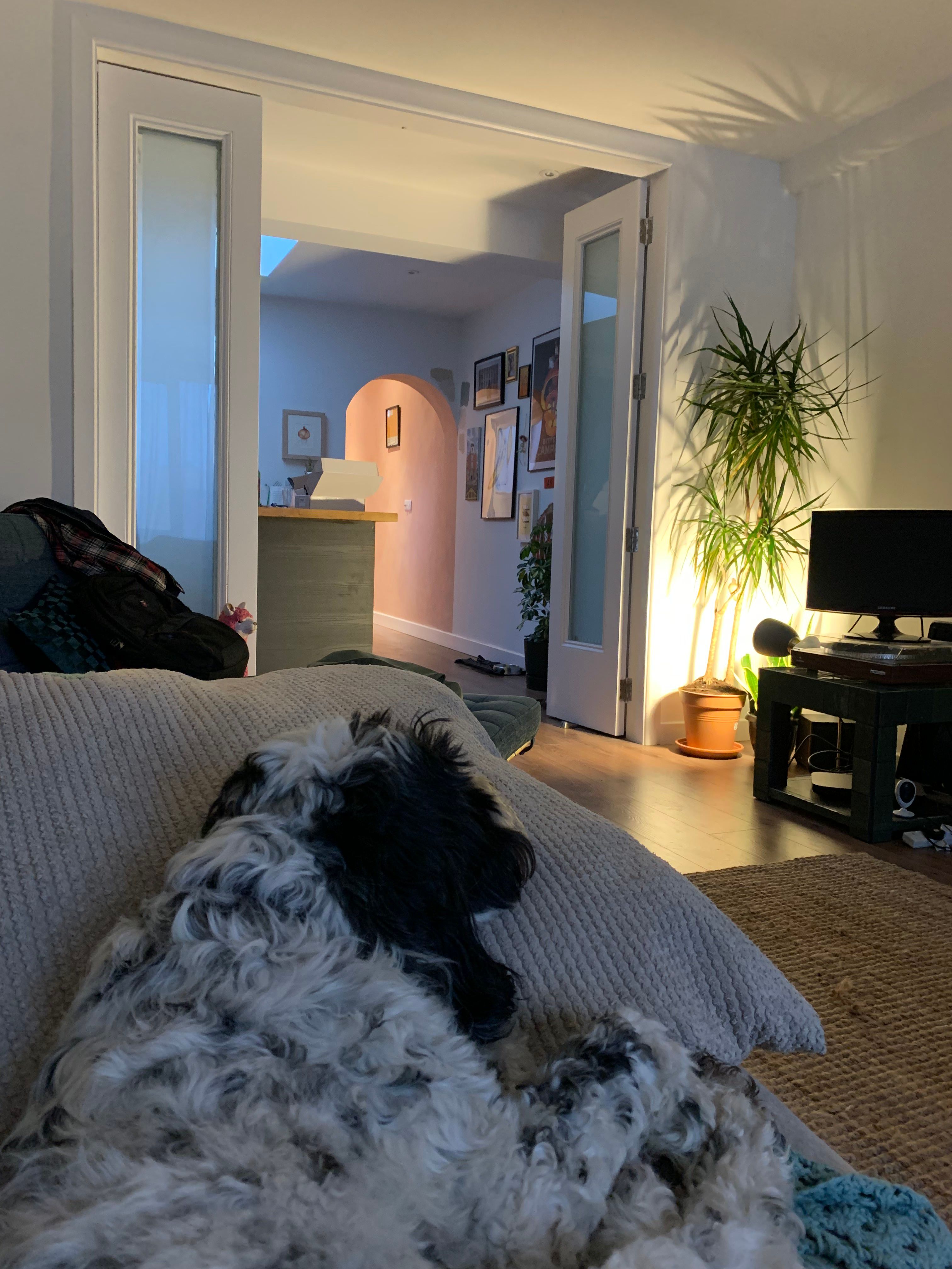 image-19