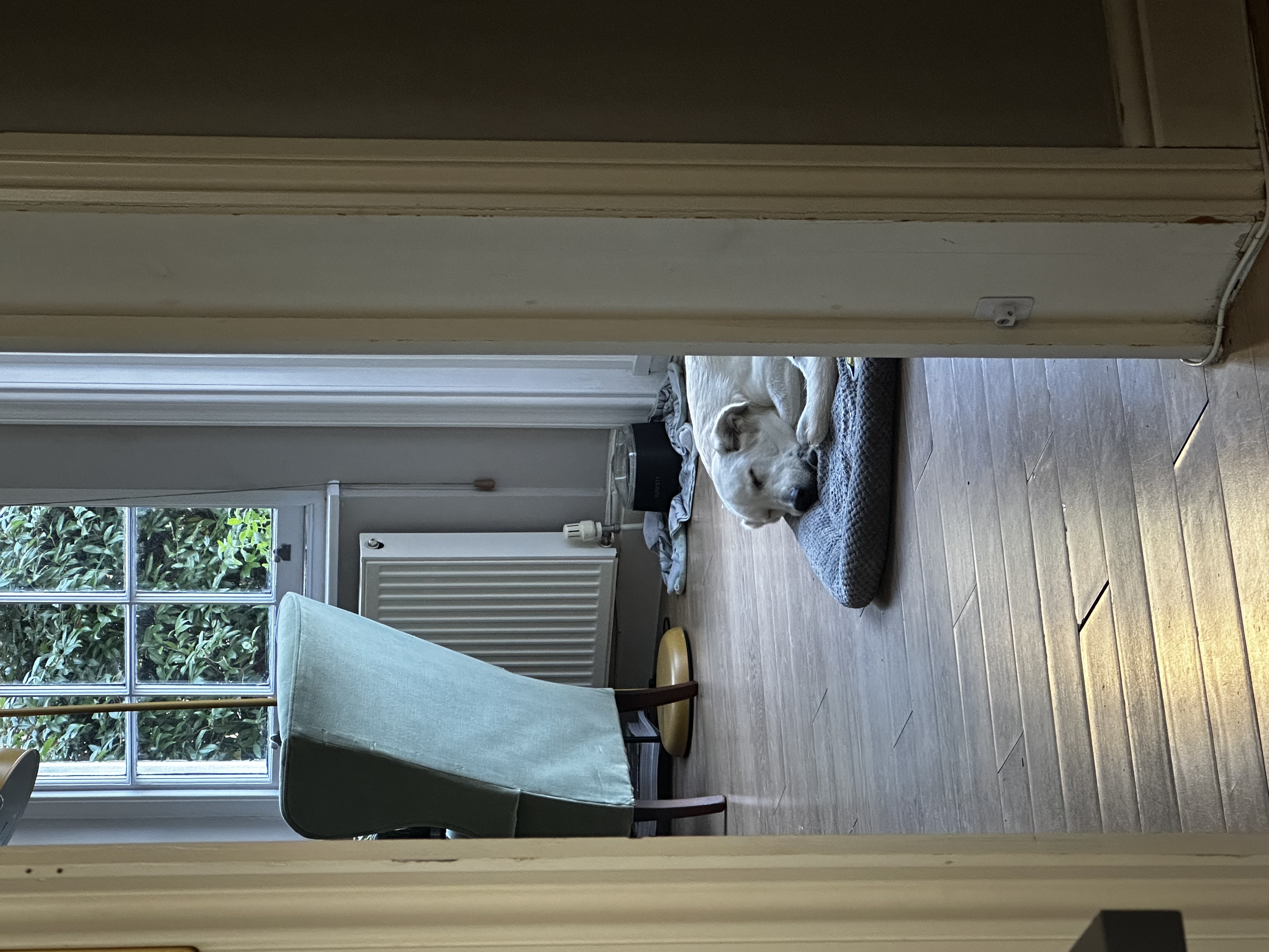 image-14