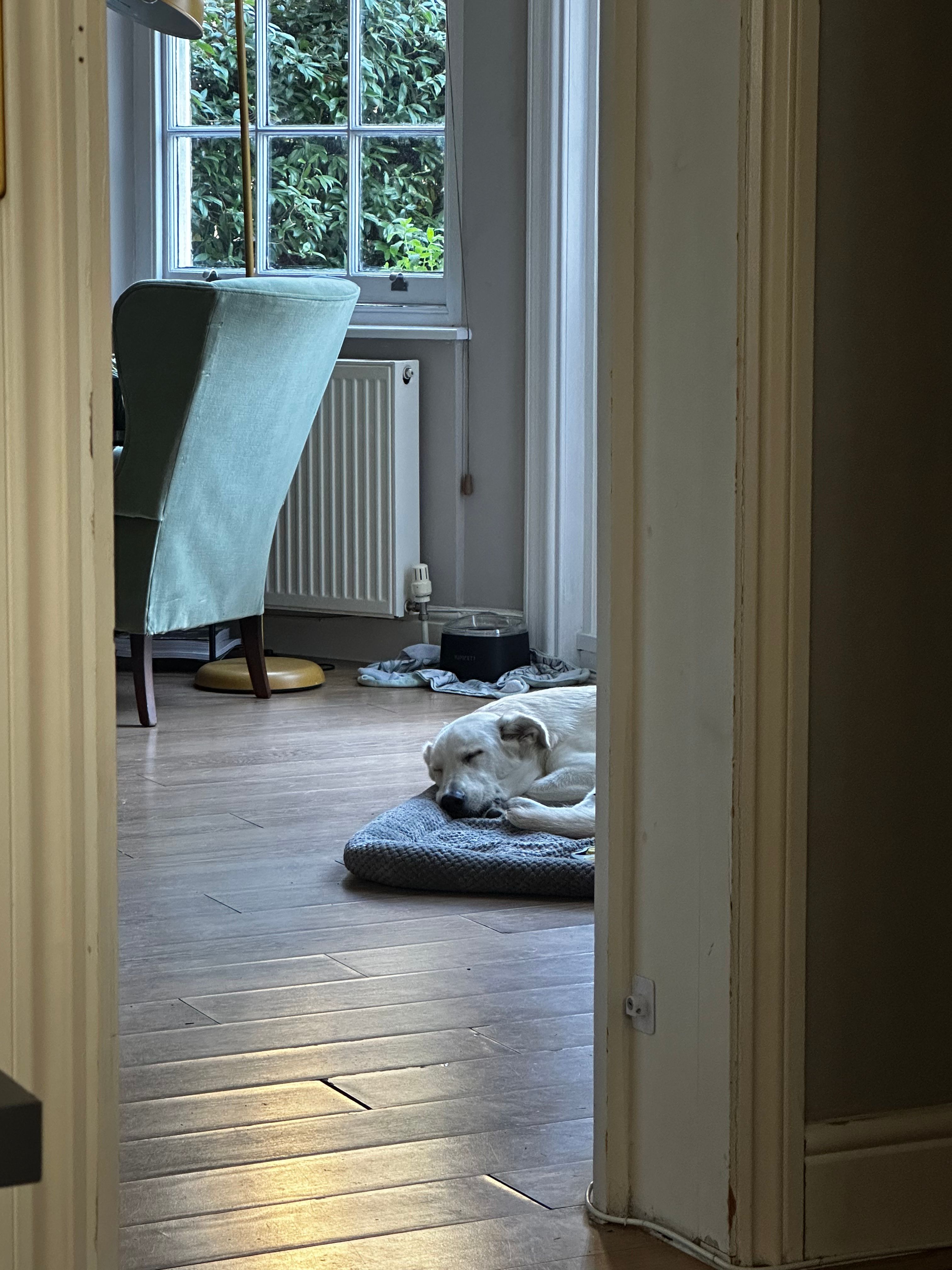 image-14