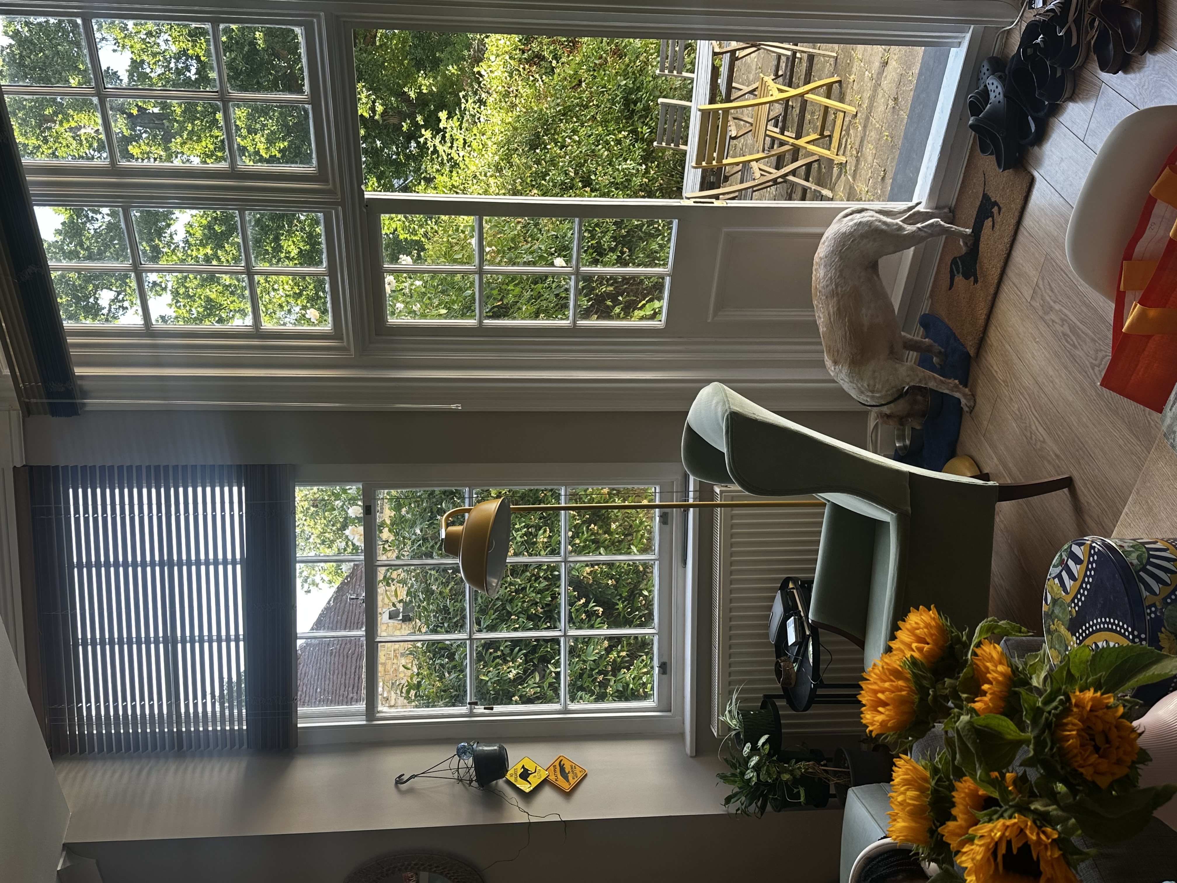 image-11