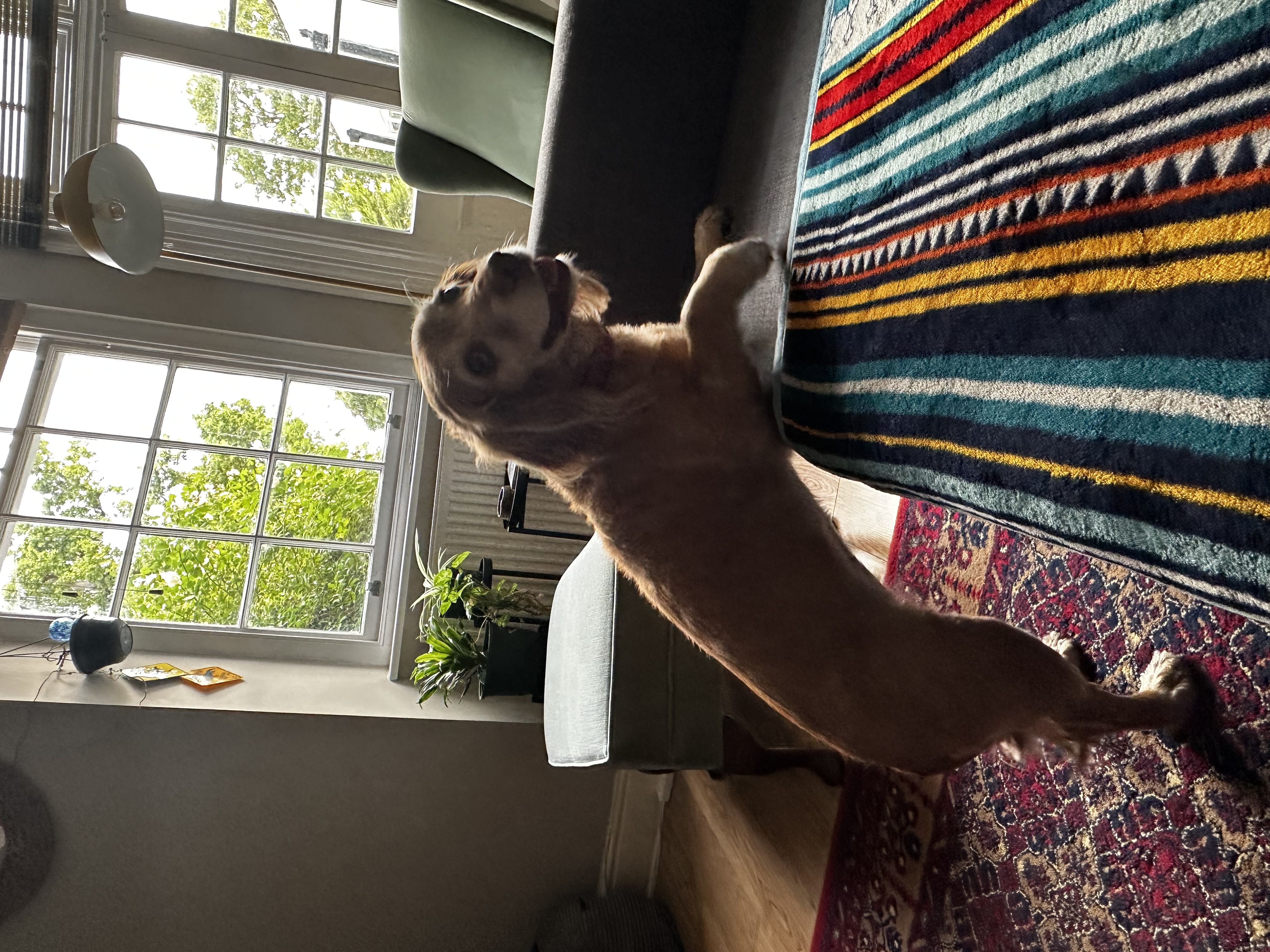 image-14