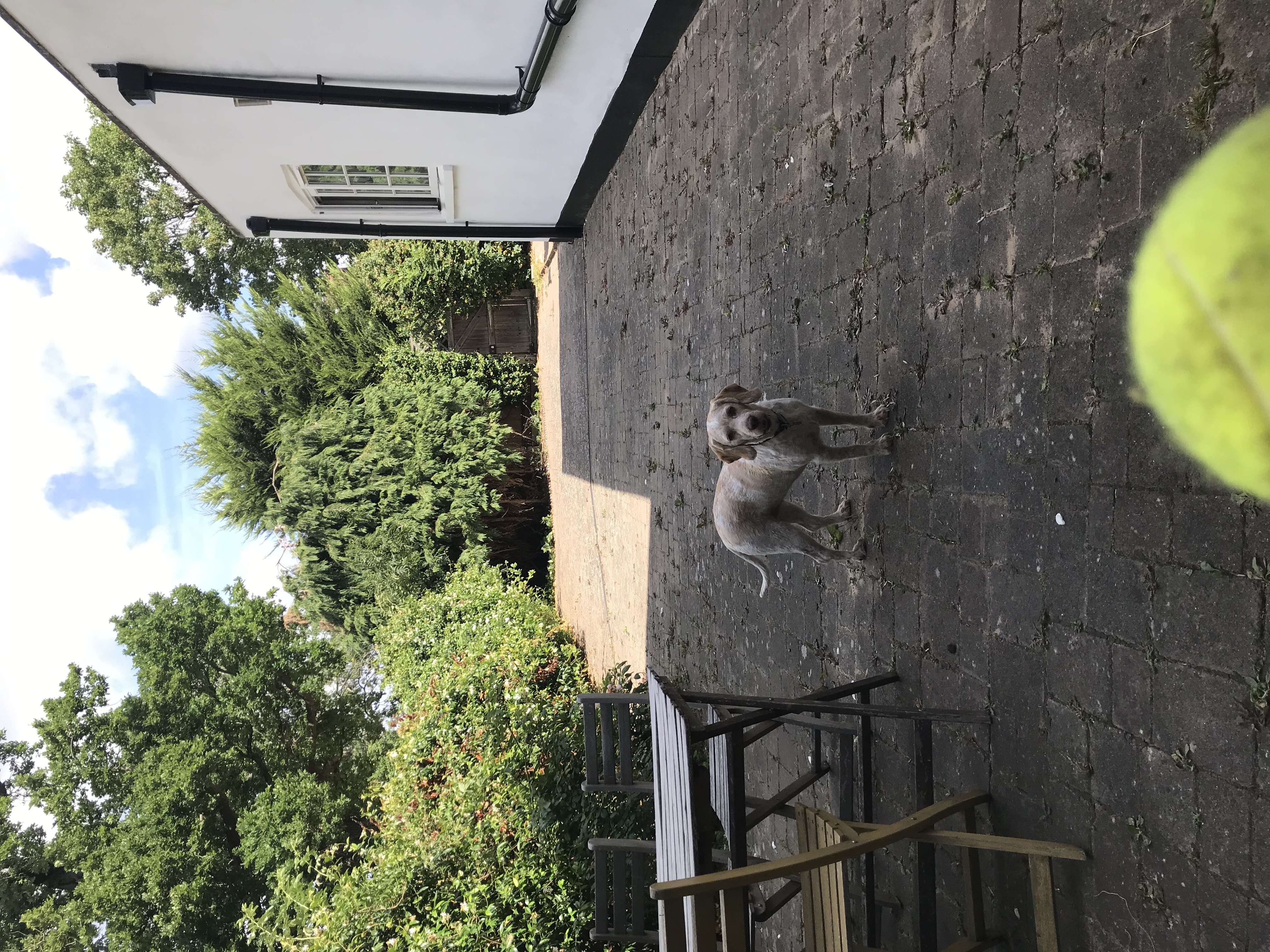 image-13