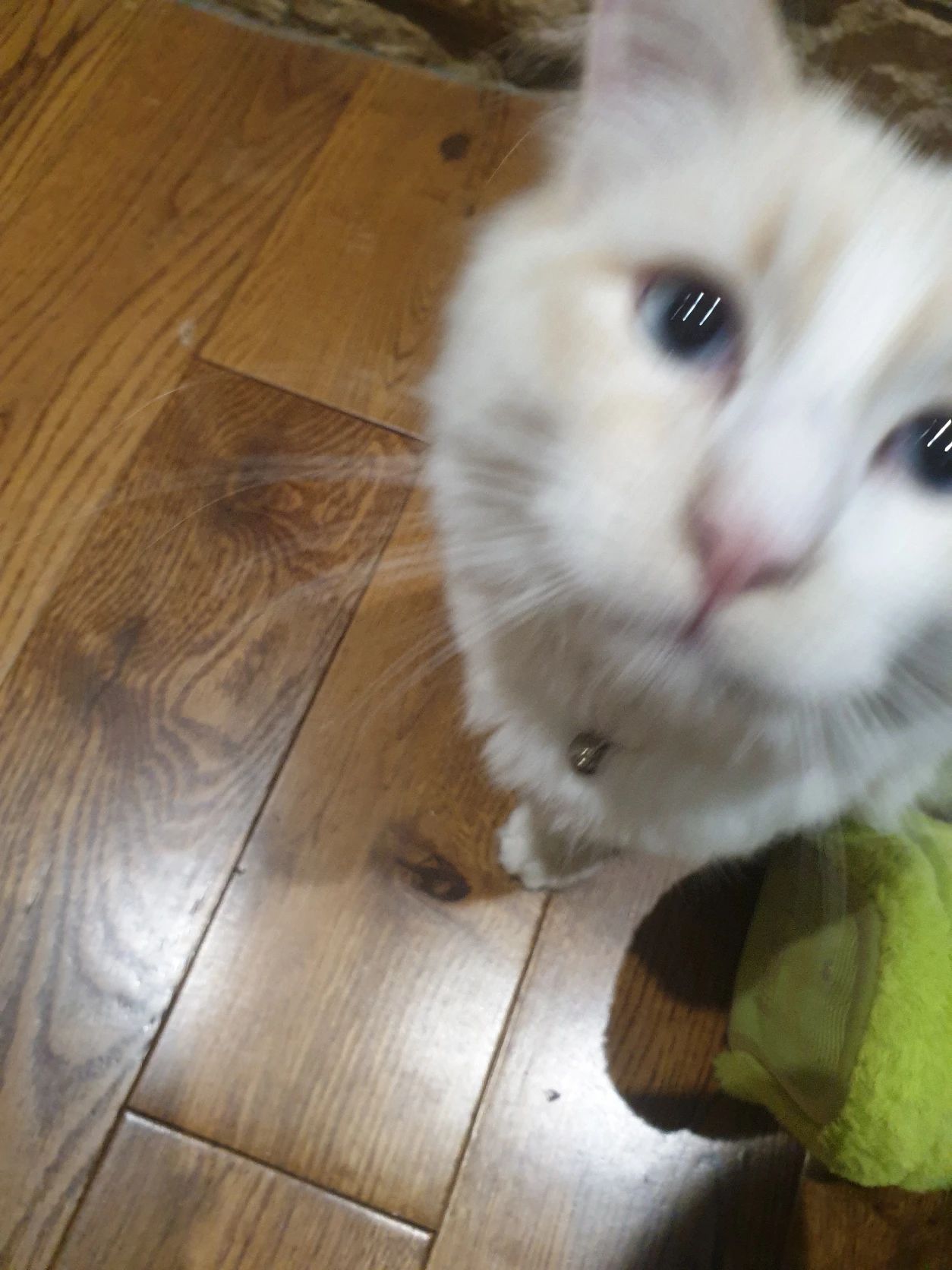 image-10