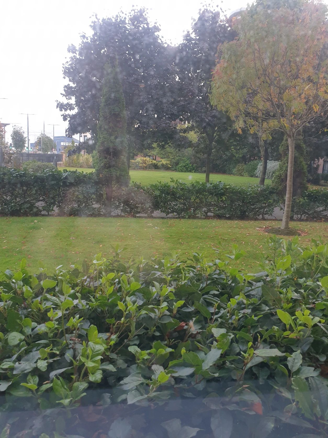 image-16