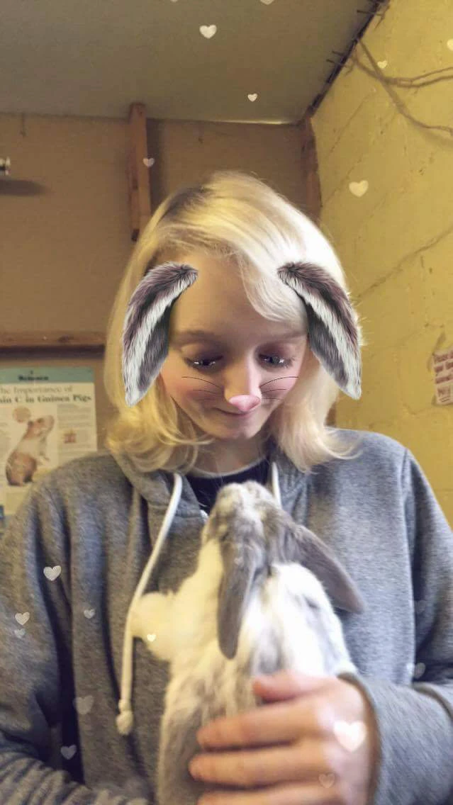 image-5