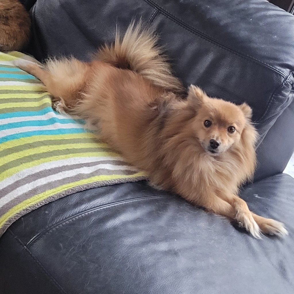 Myla