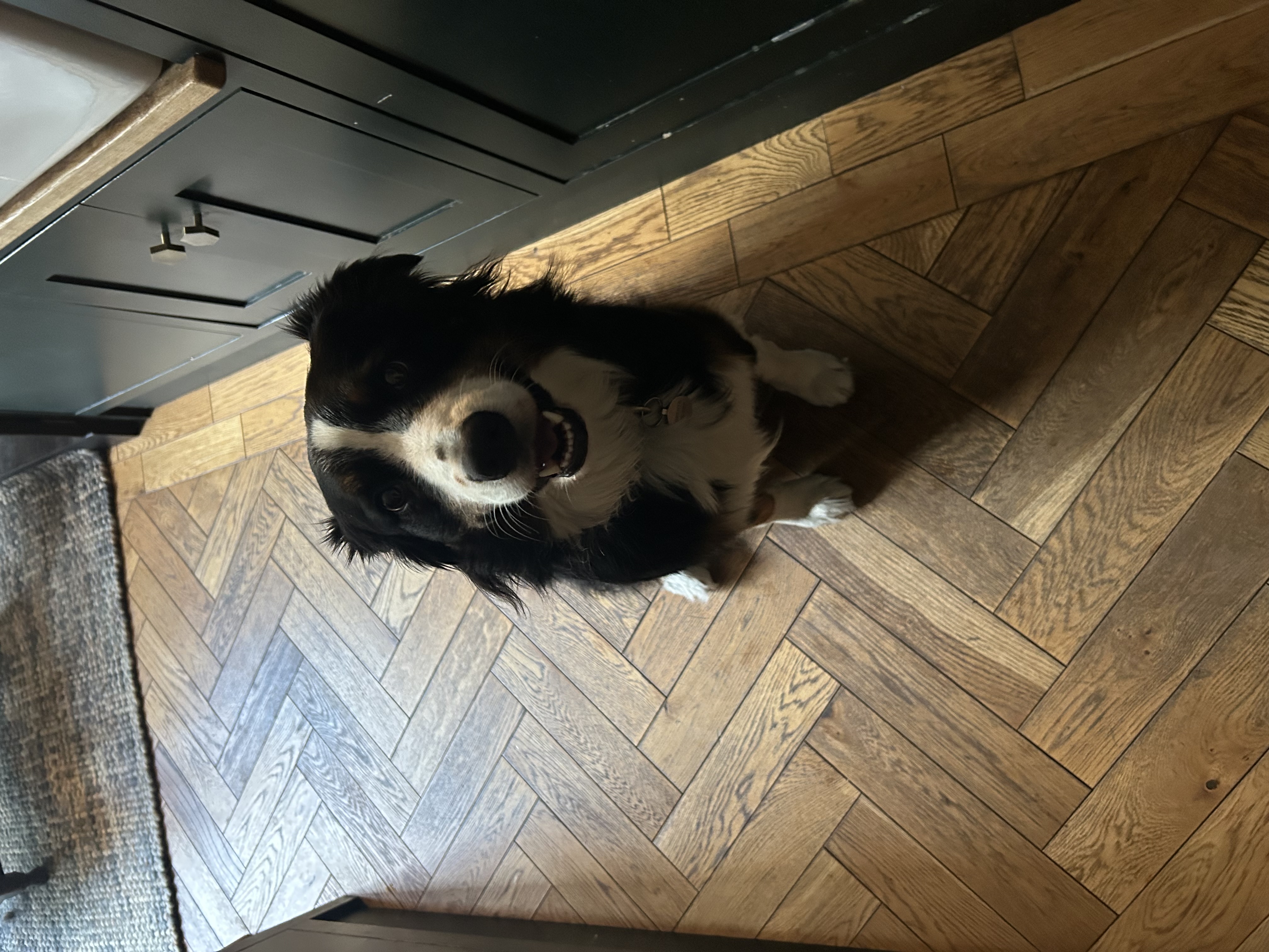 image-6
