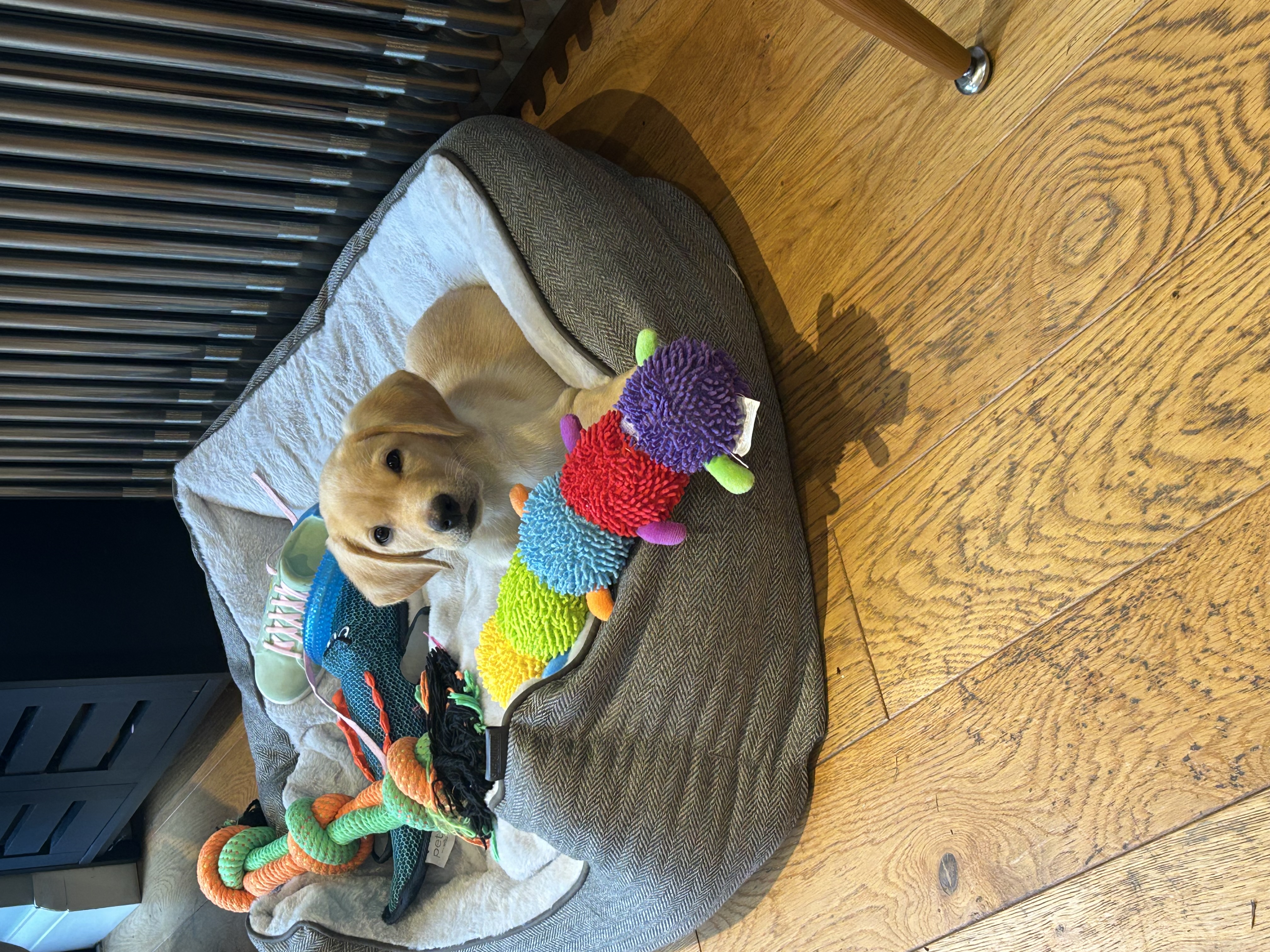 image-10