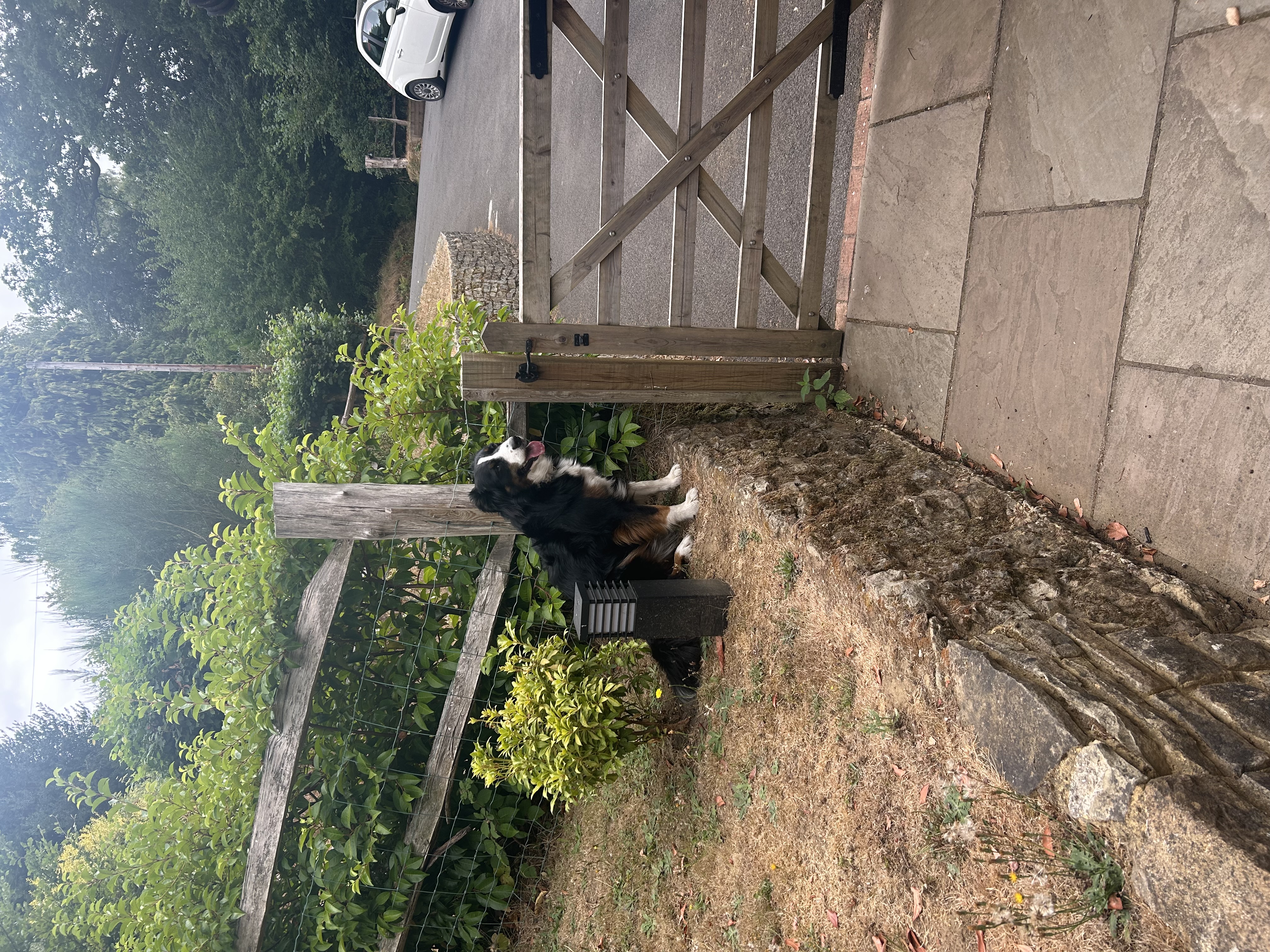 image-7