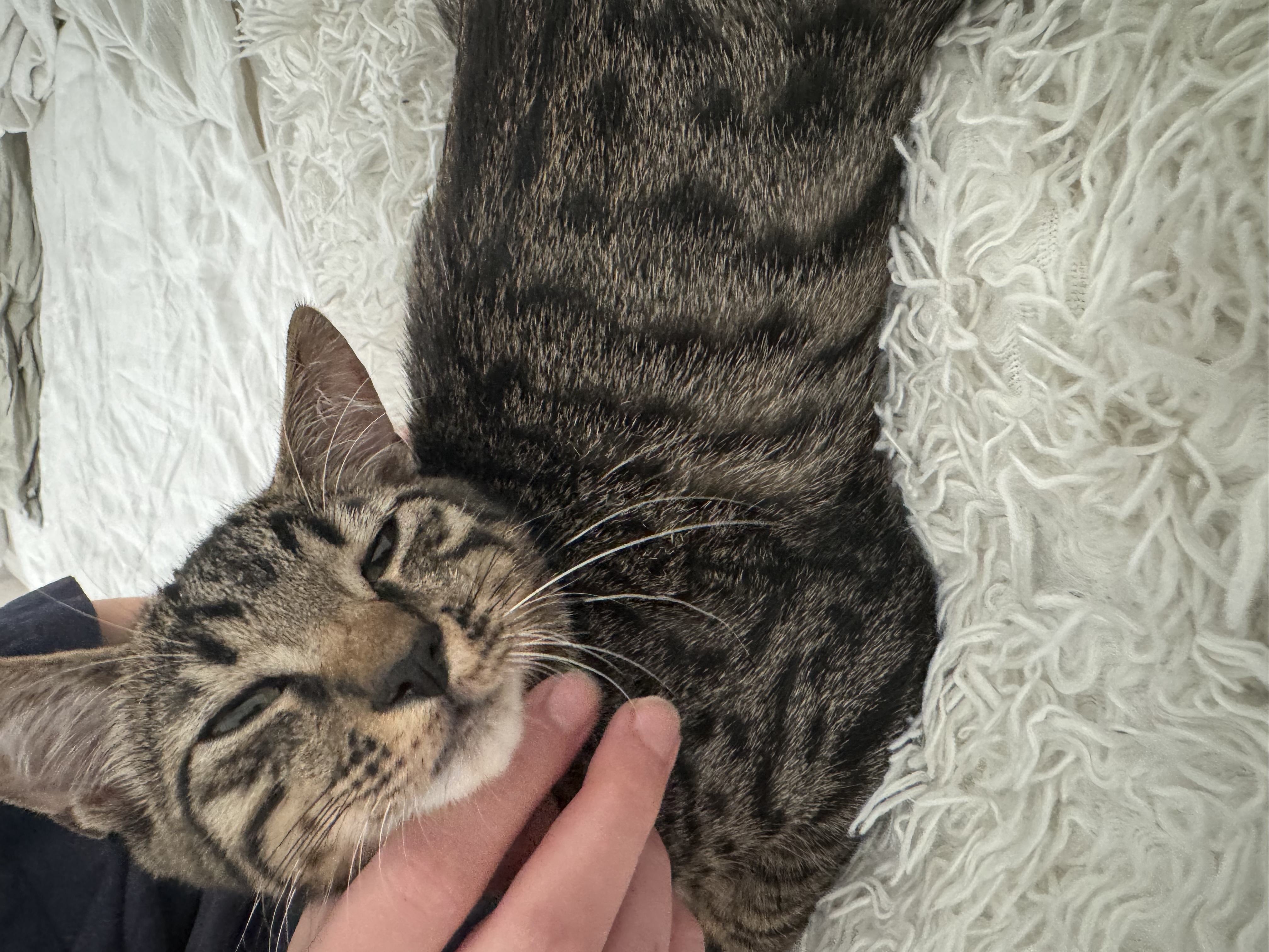 image-6