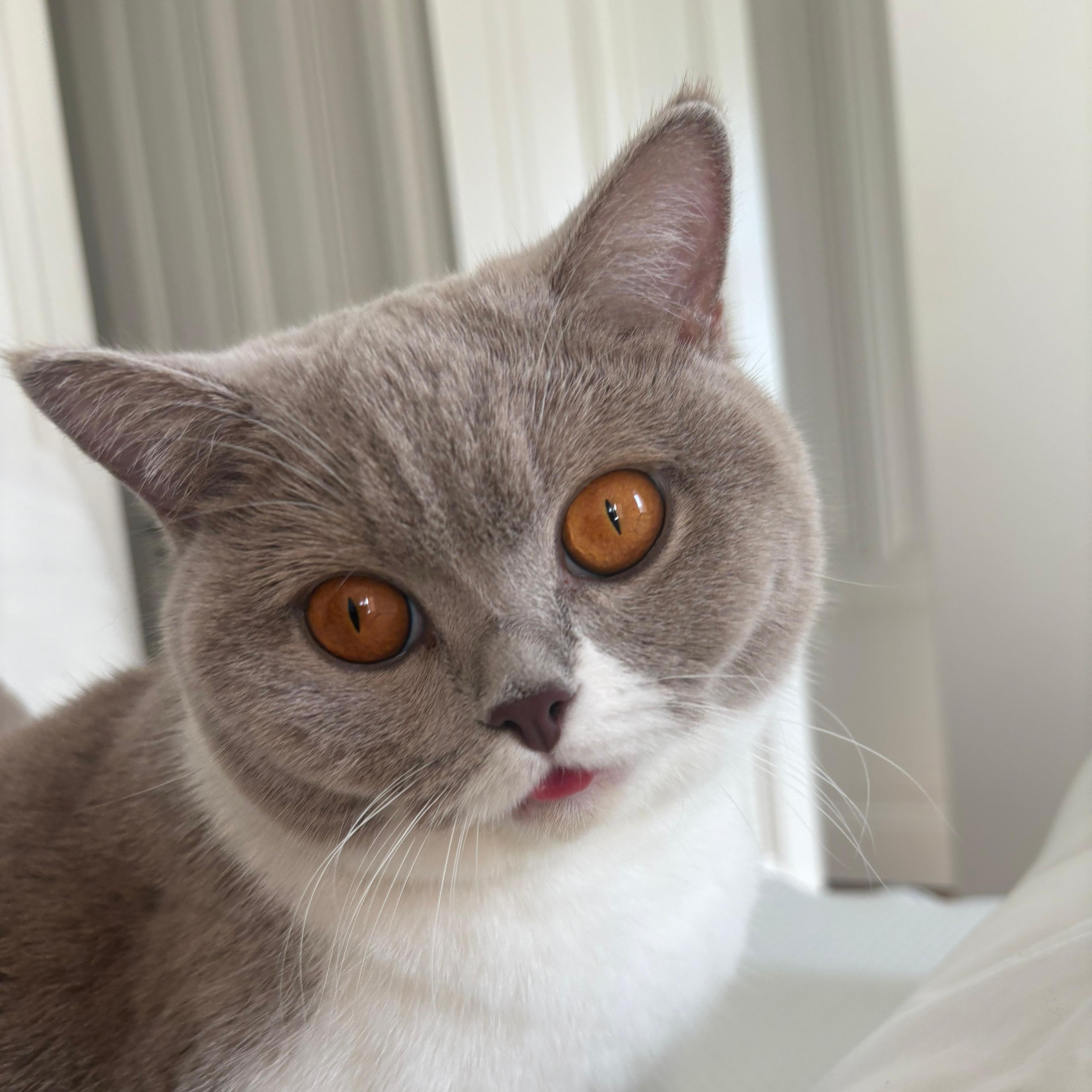 Arēs