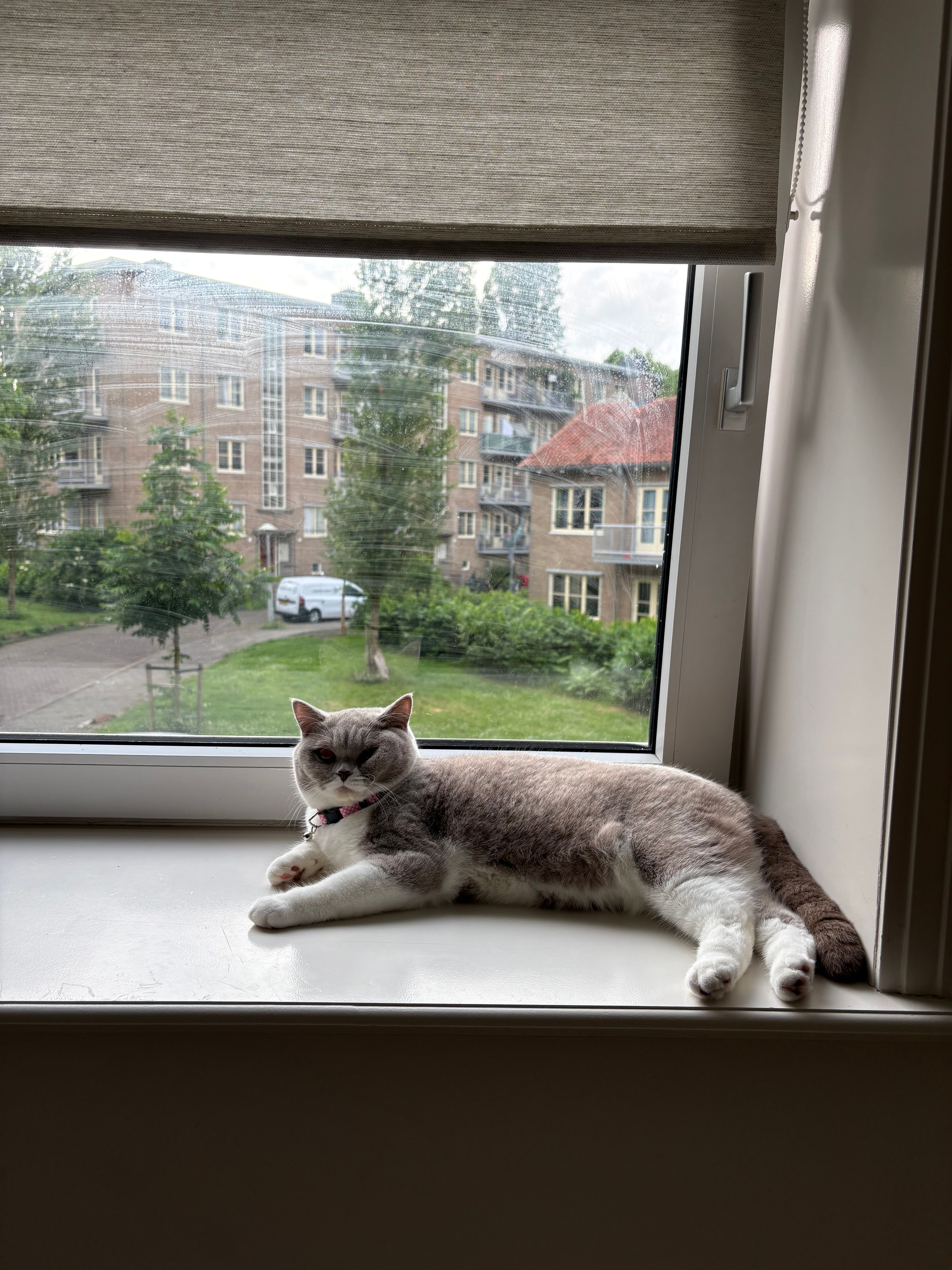 image-20