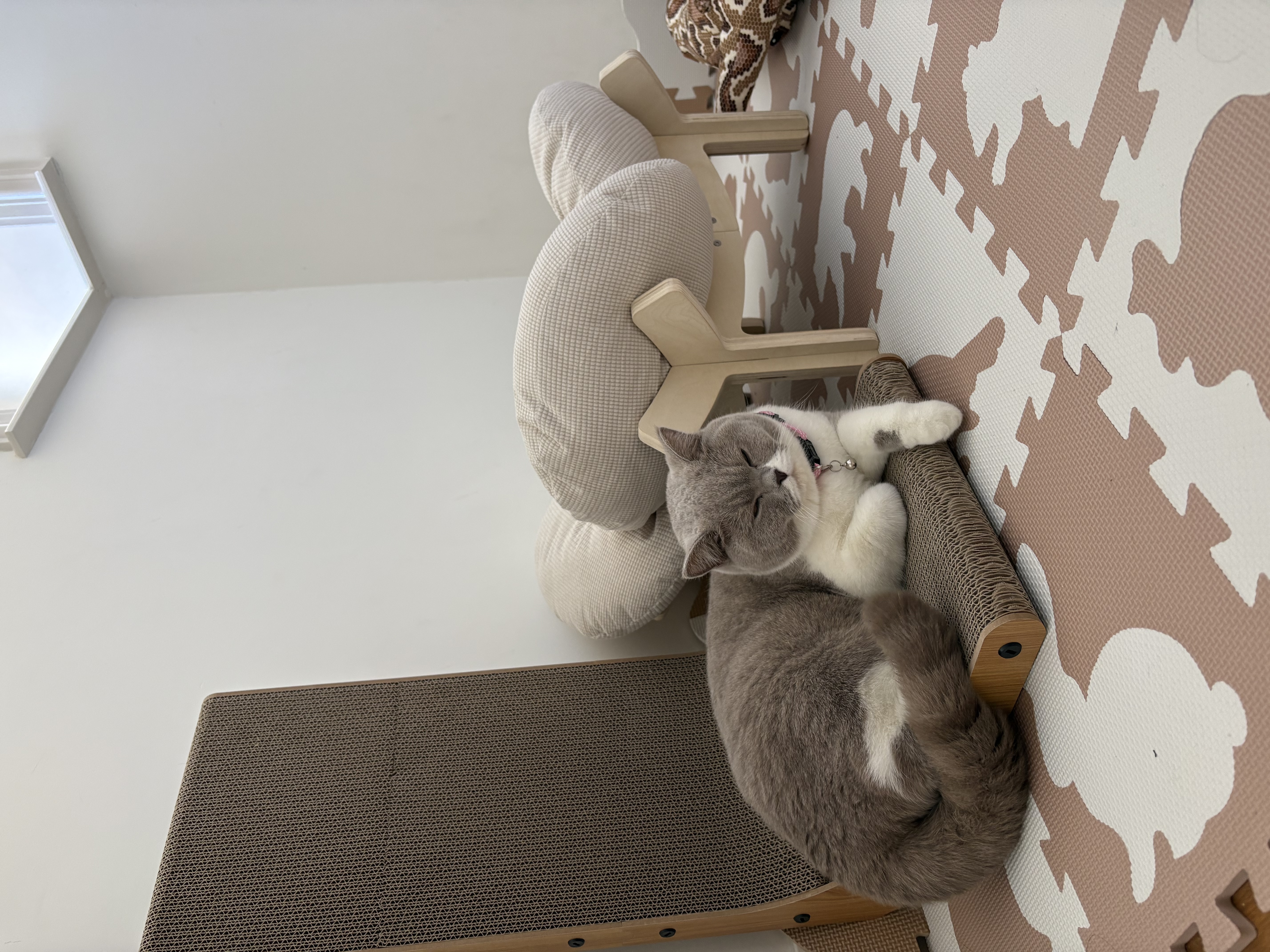 image-16