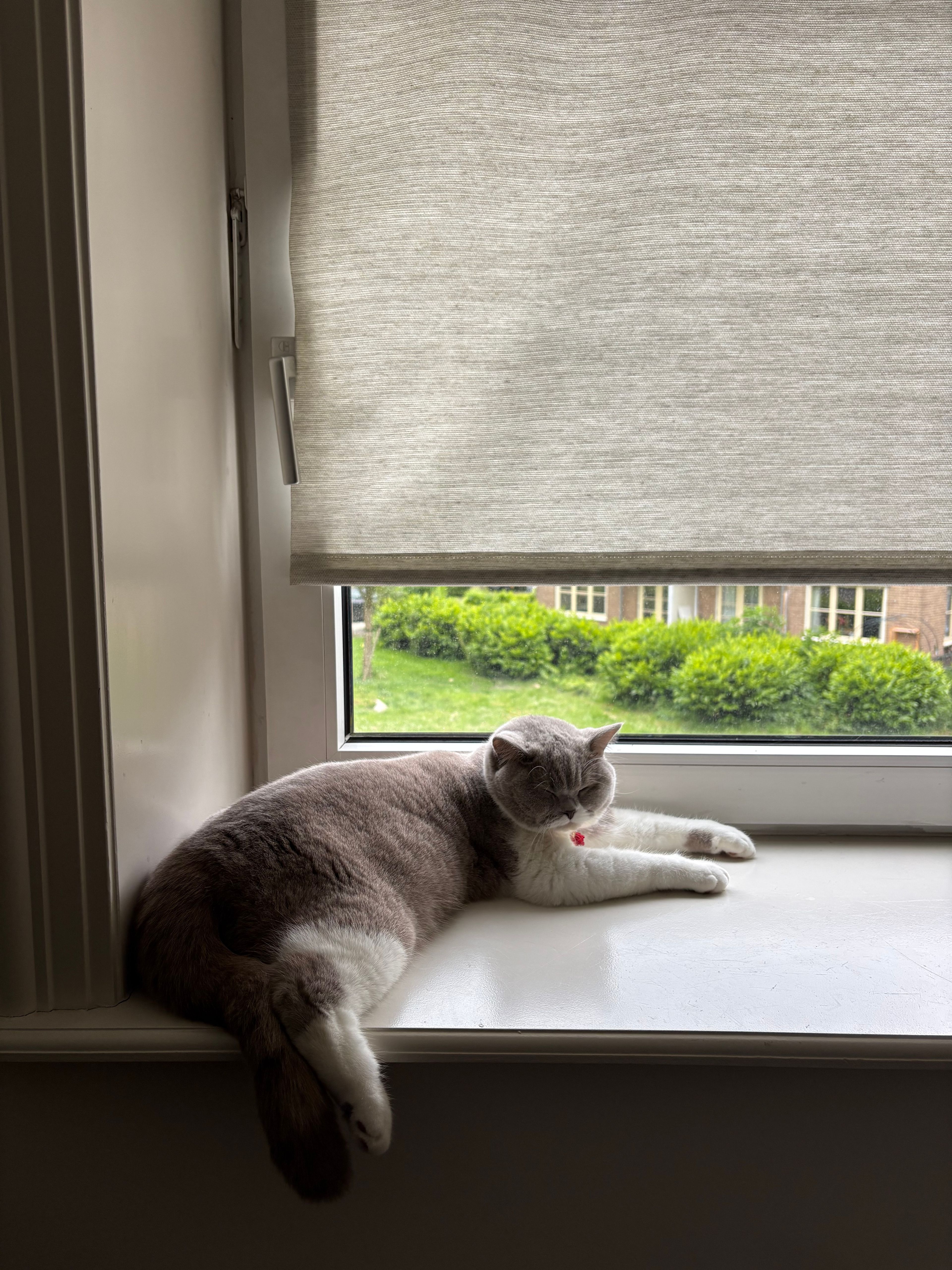 image-18