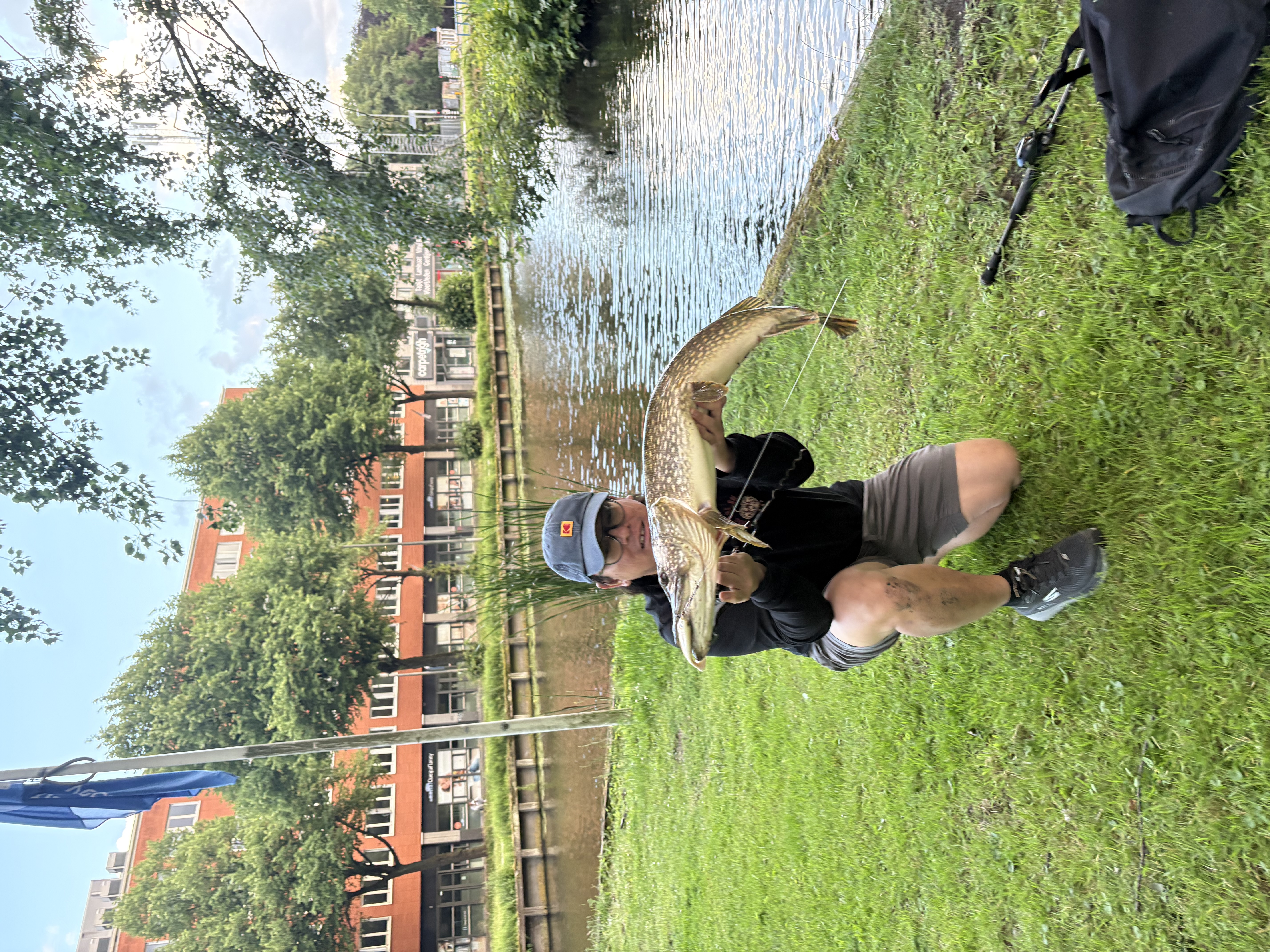 image-14