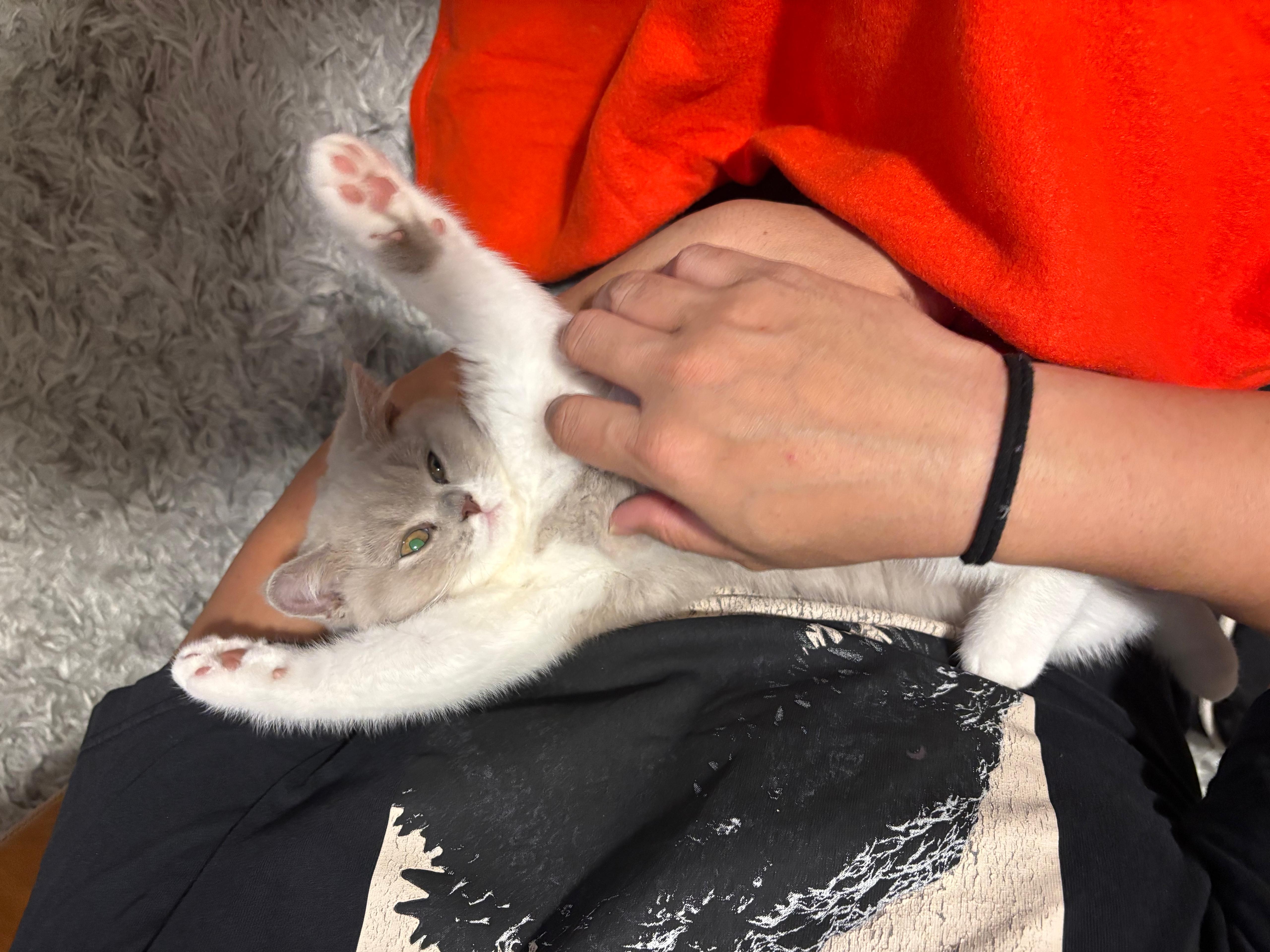 image-6