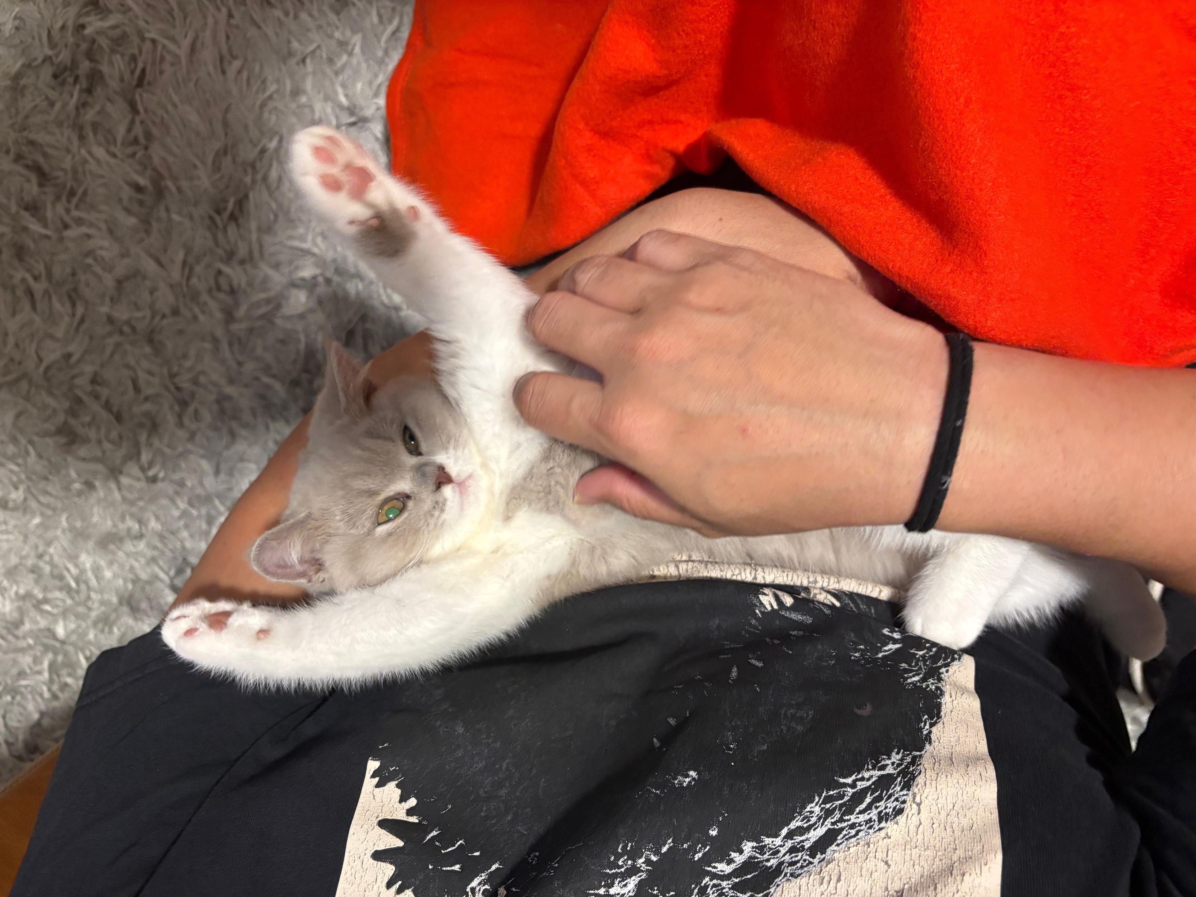 image-6