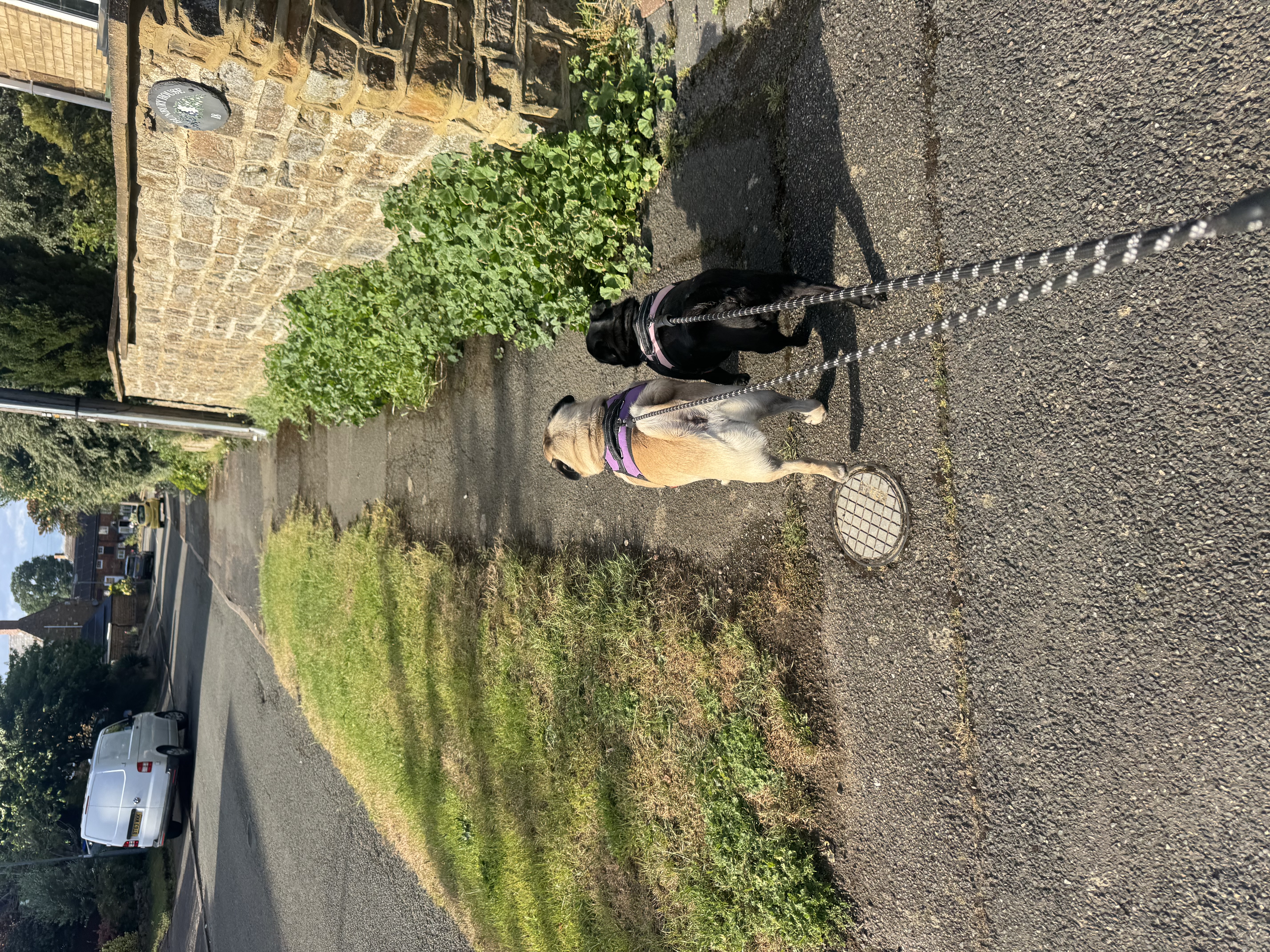 image-7