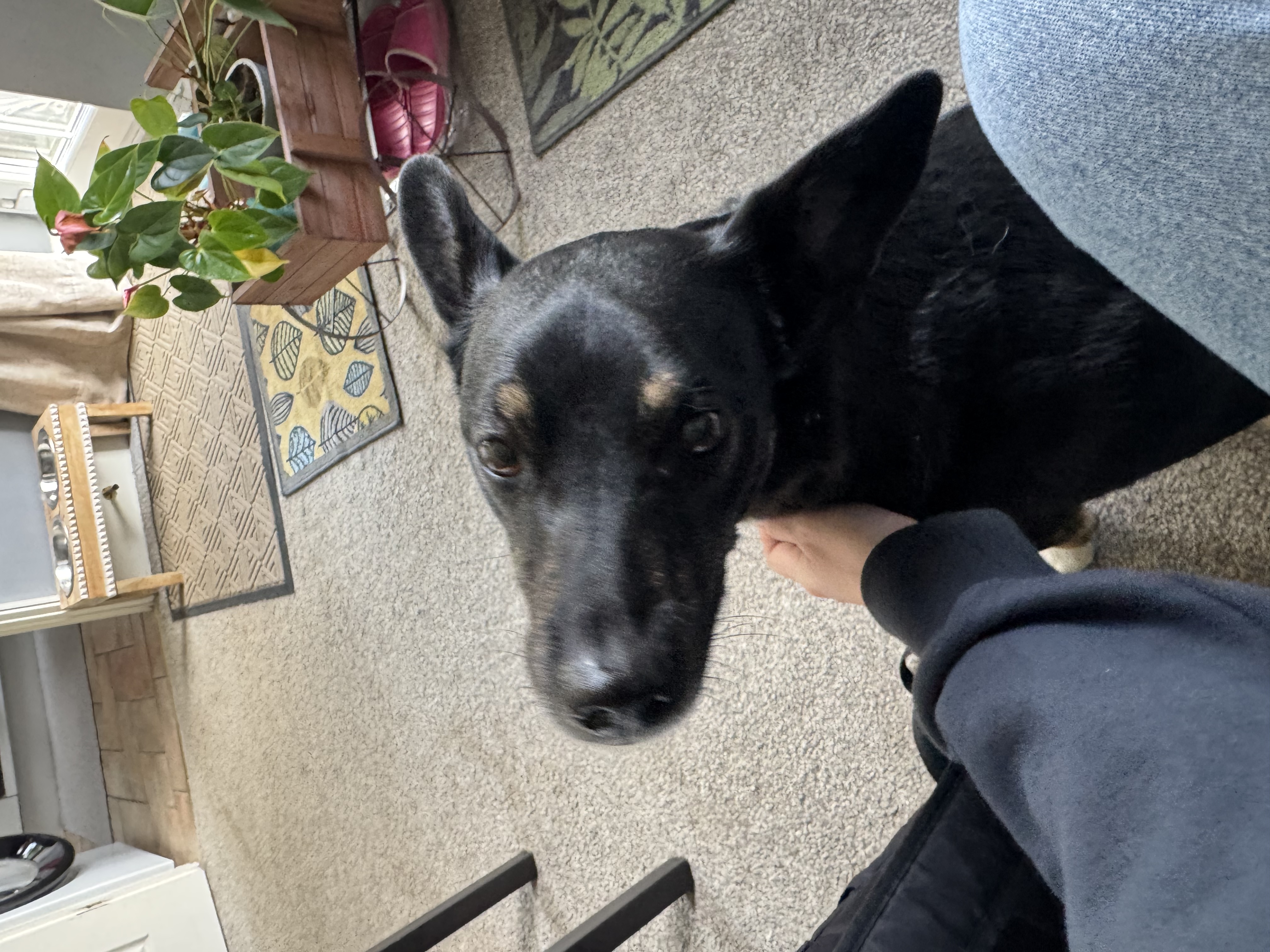 image-8