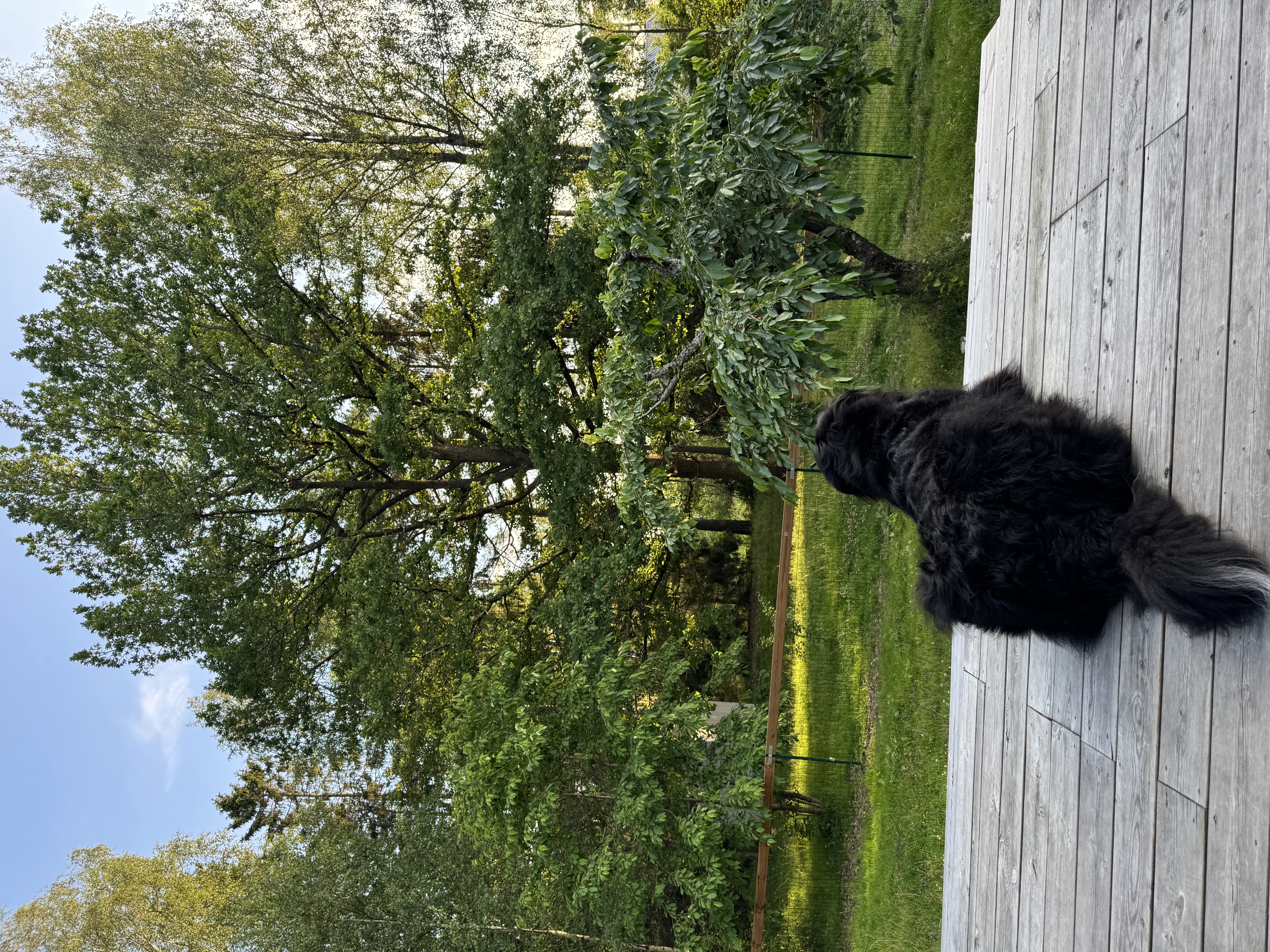 image-12