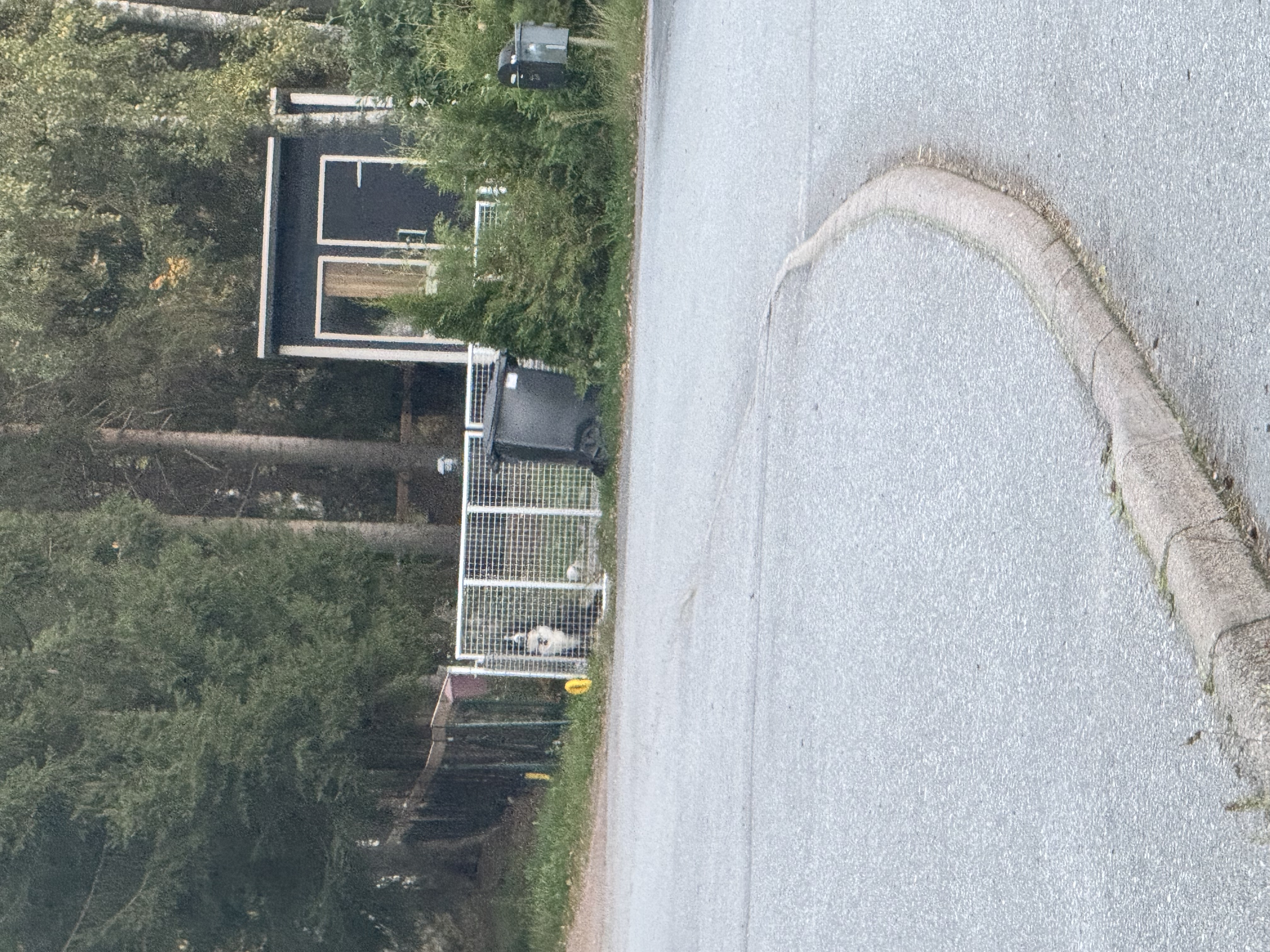 image-15