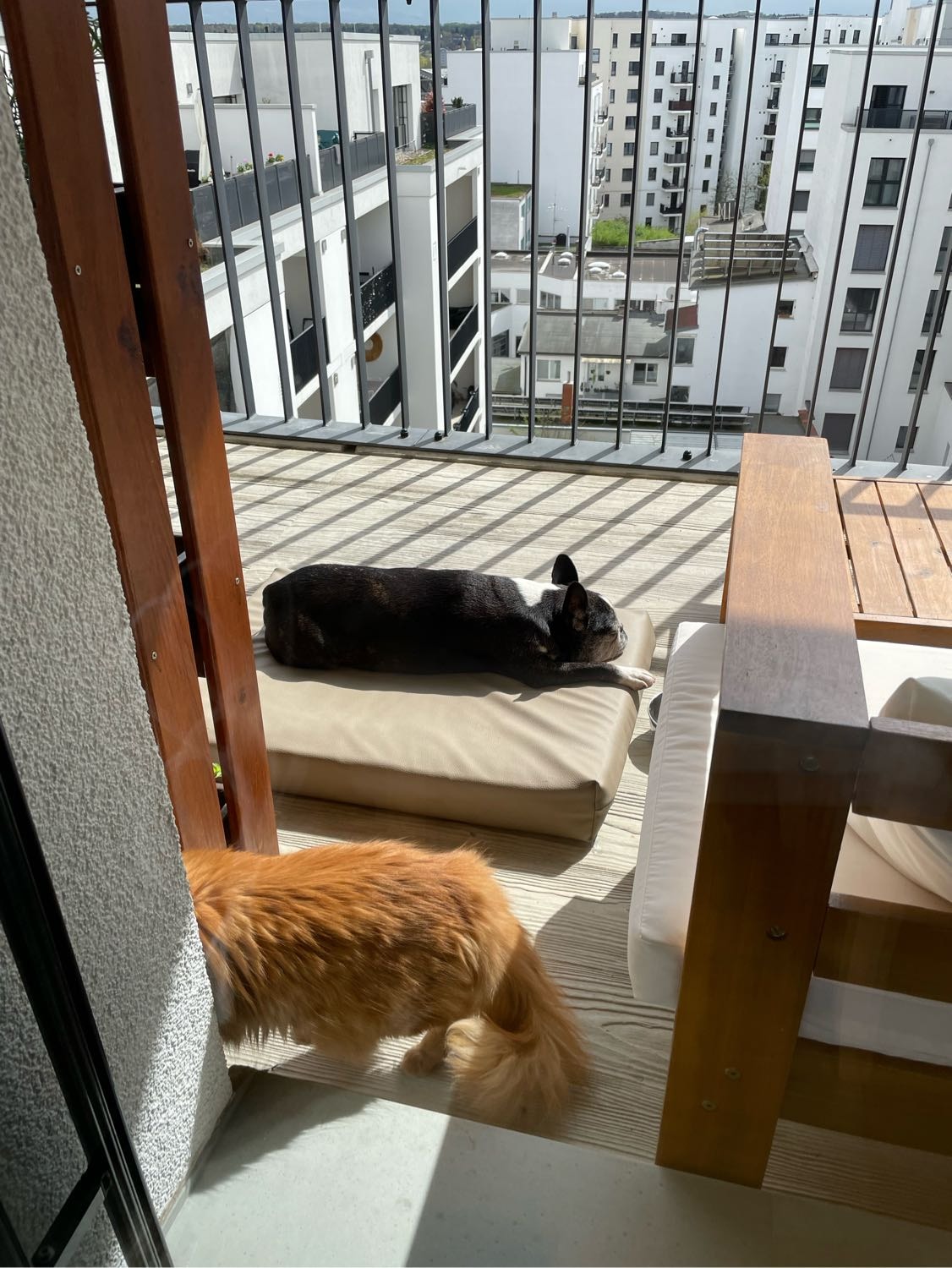 image-7