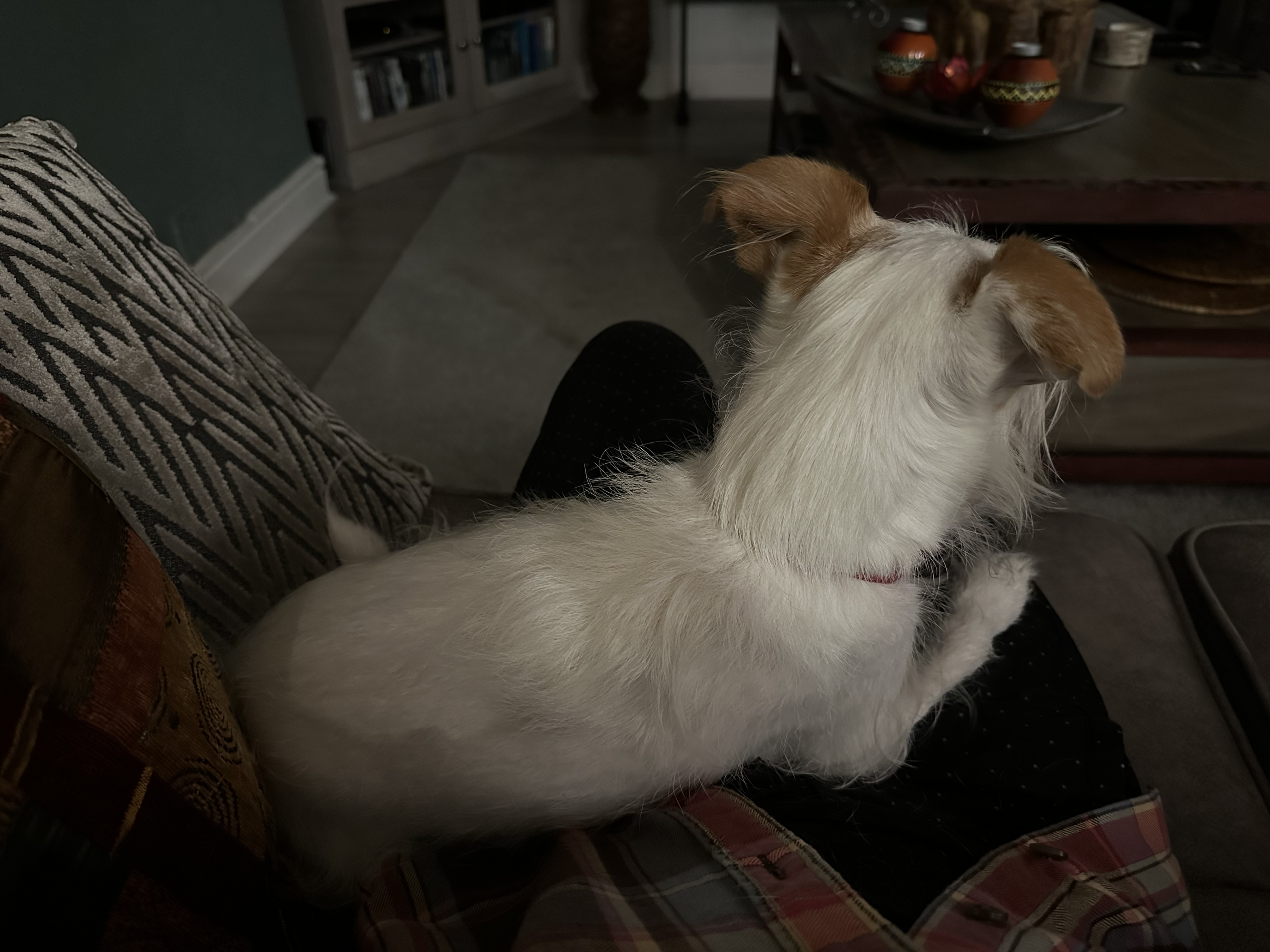 image-18
