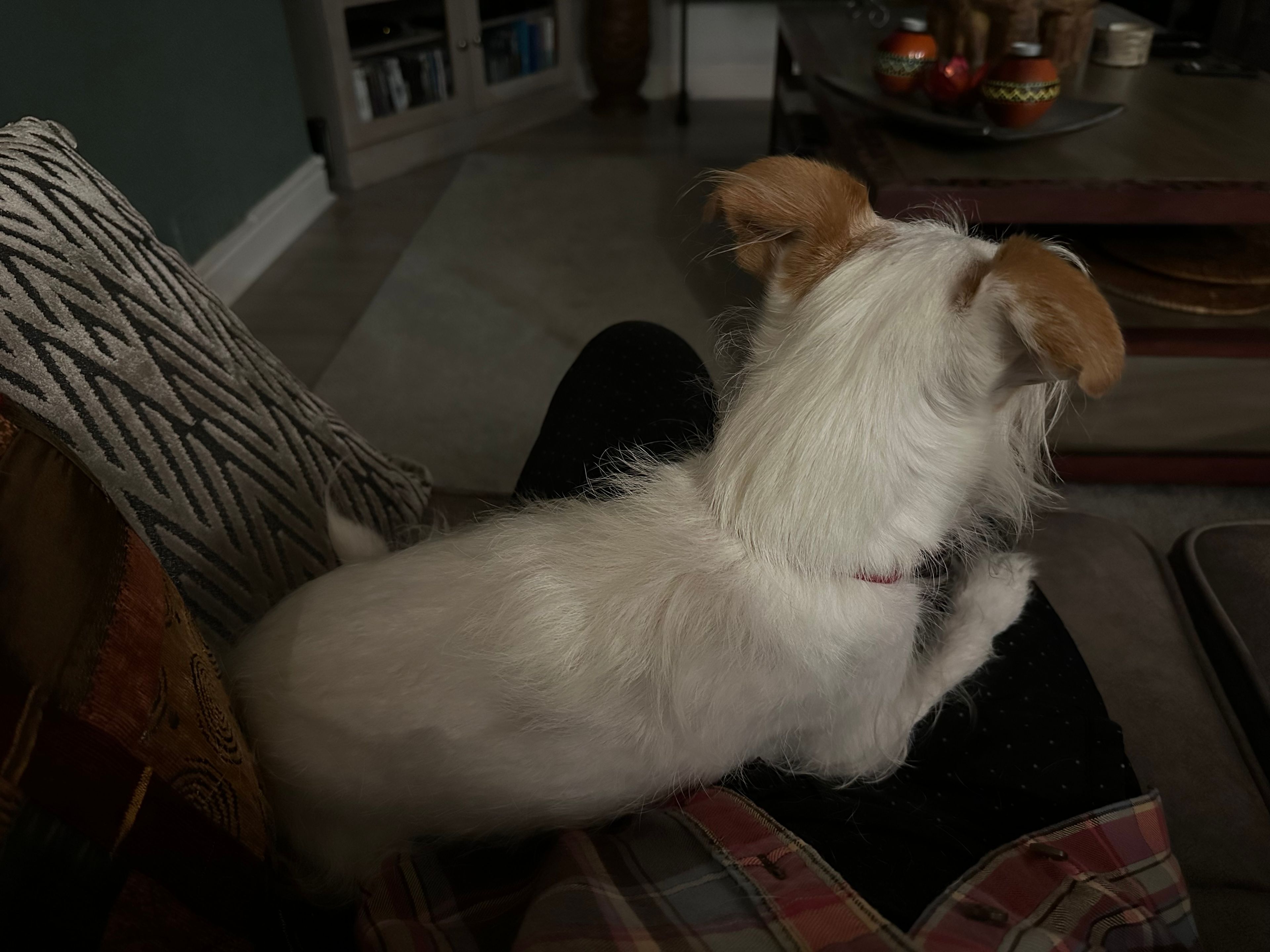 image-18