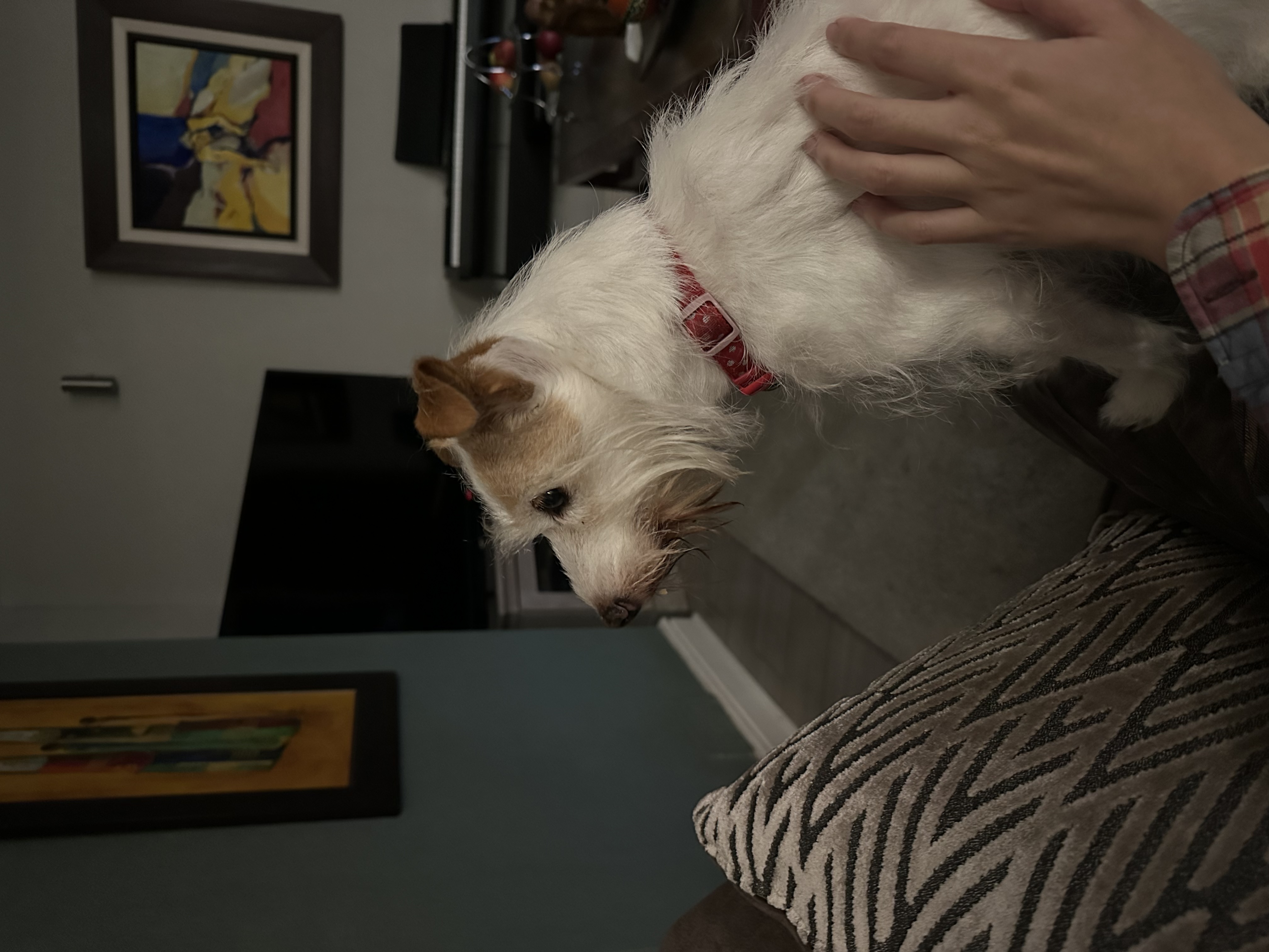 image-14