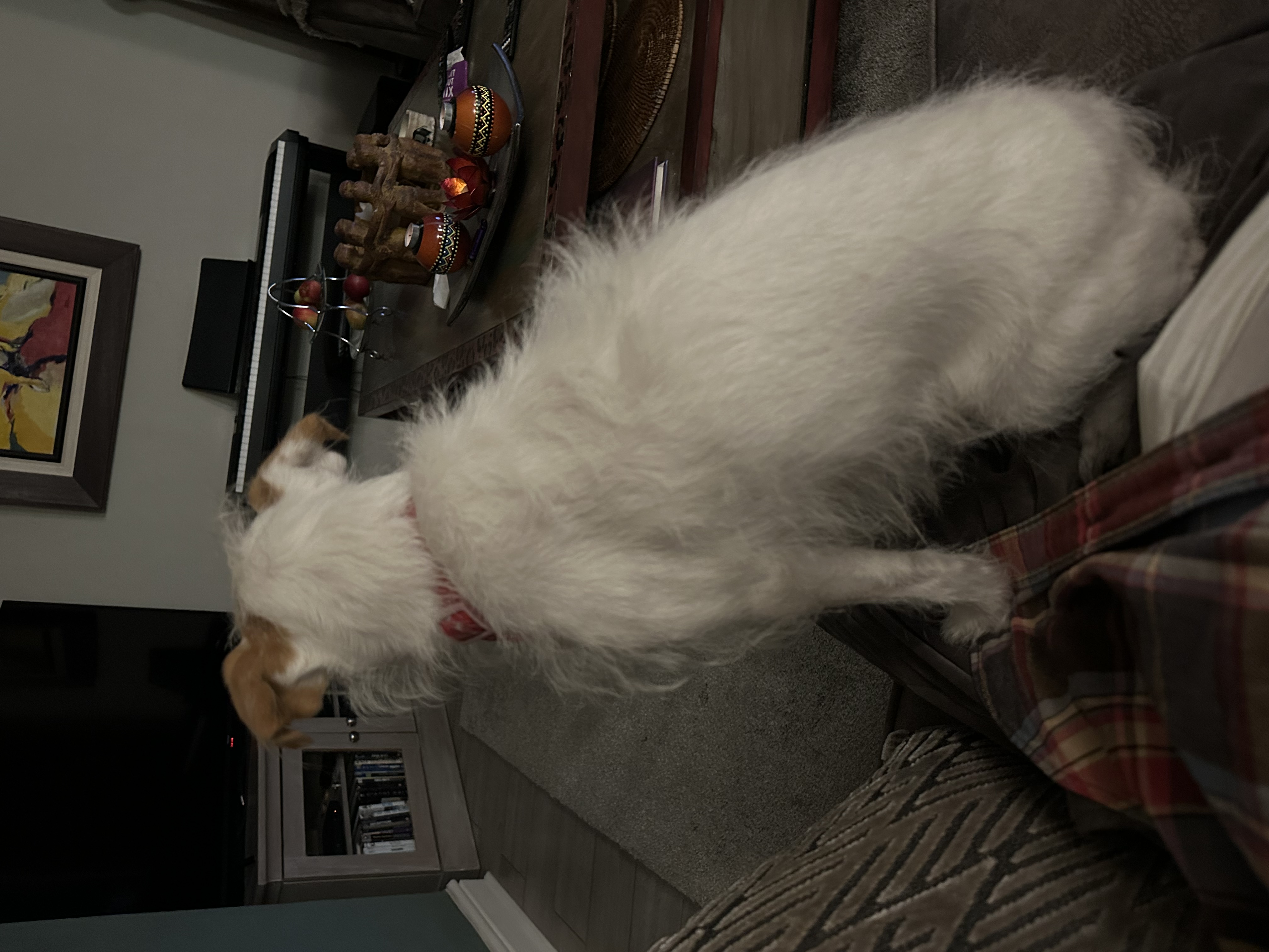 image-15