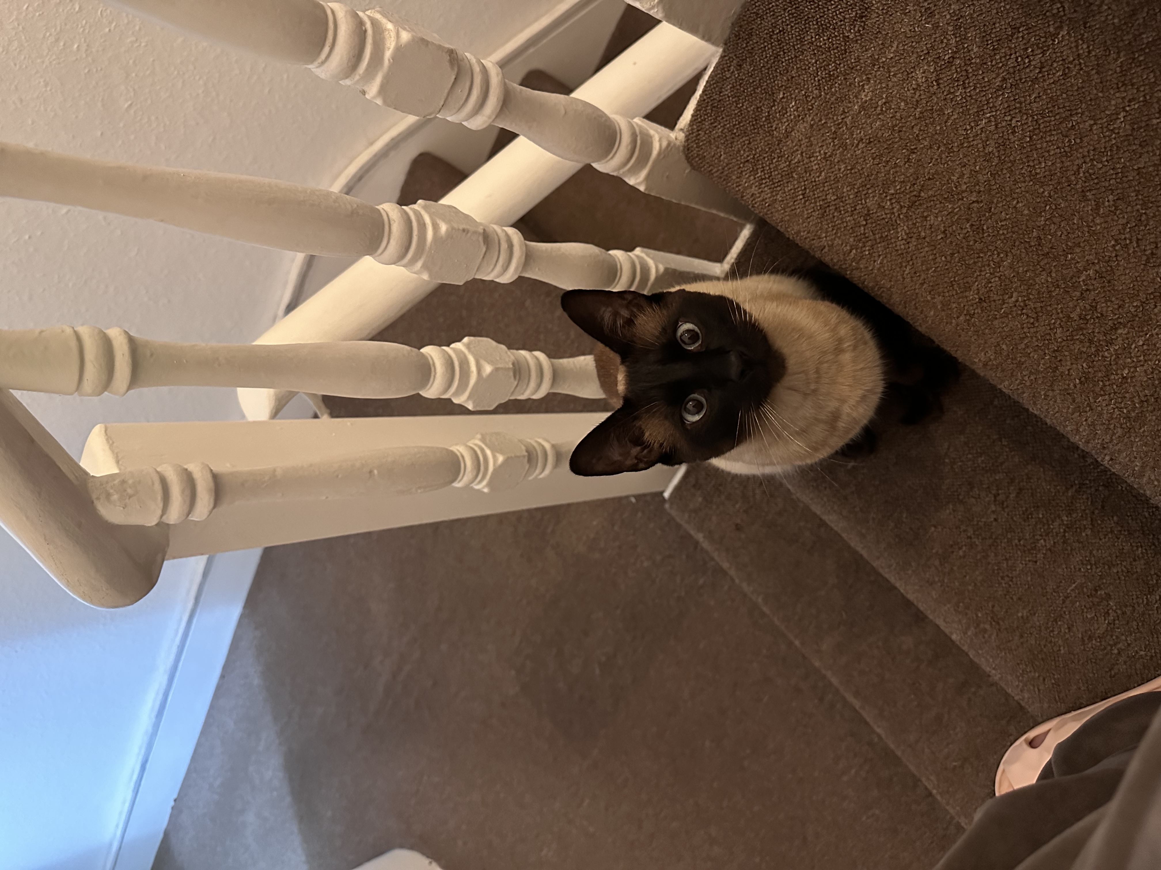 image-16