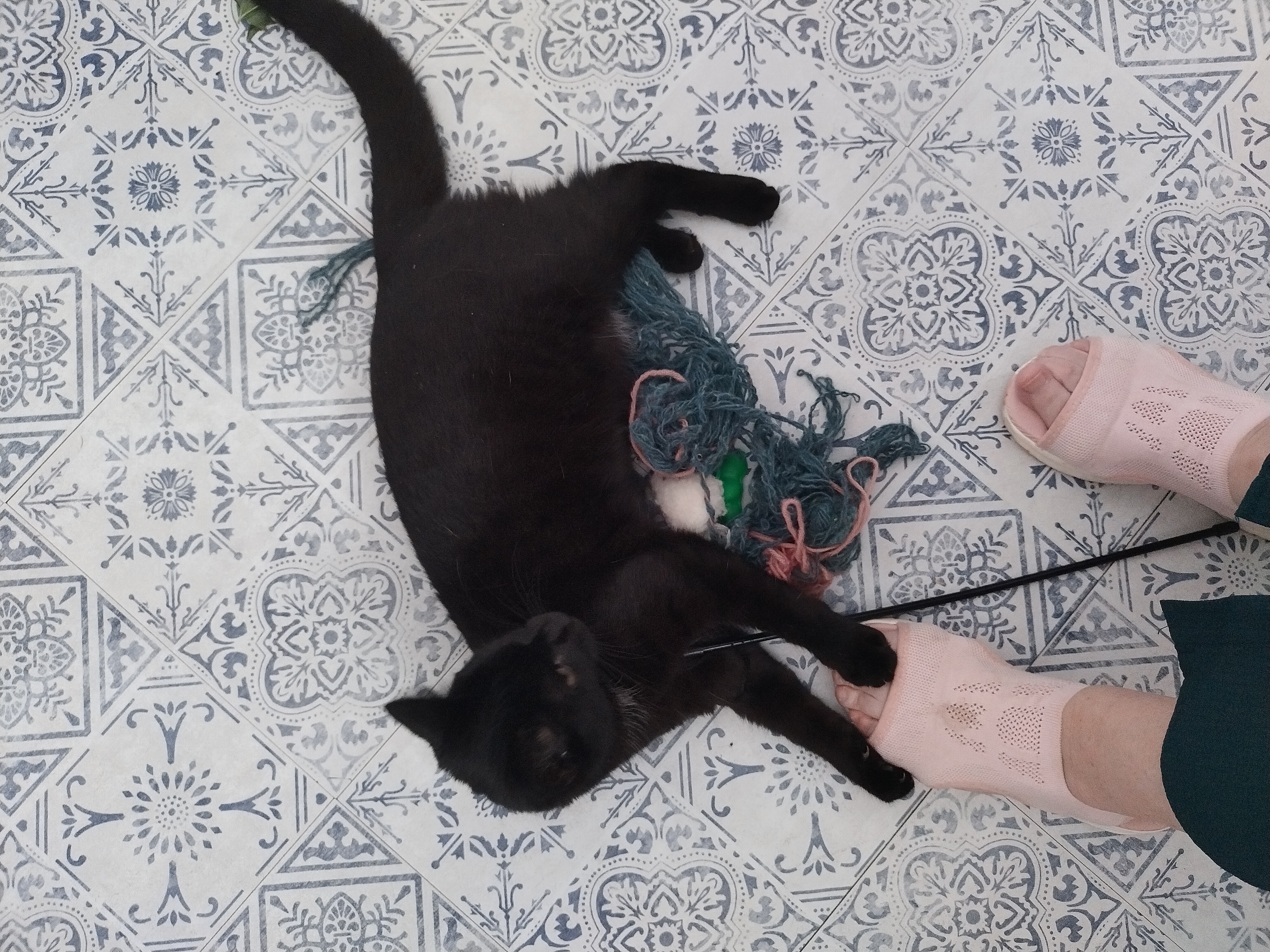 image-6