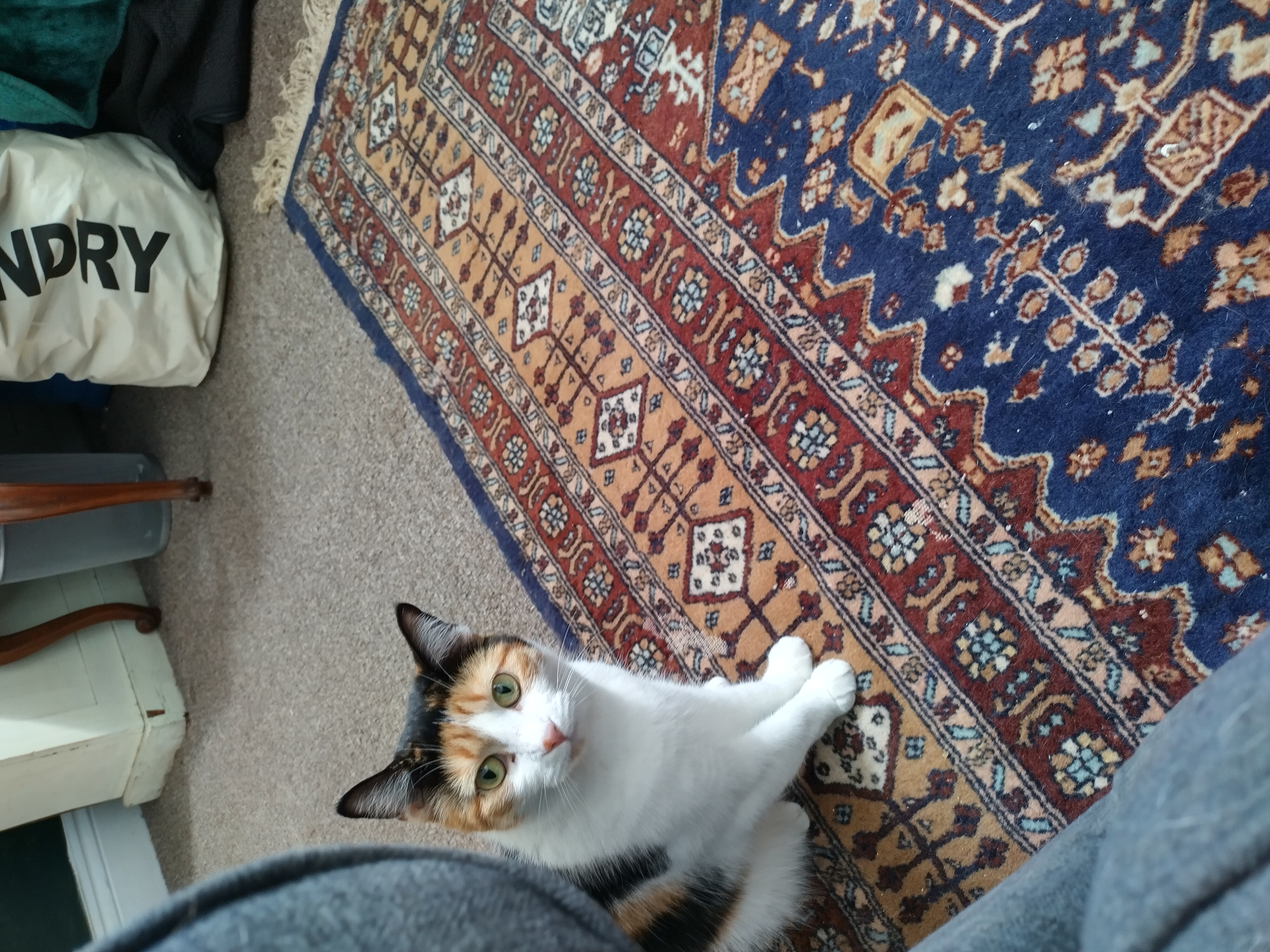 image-7