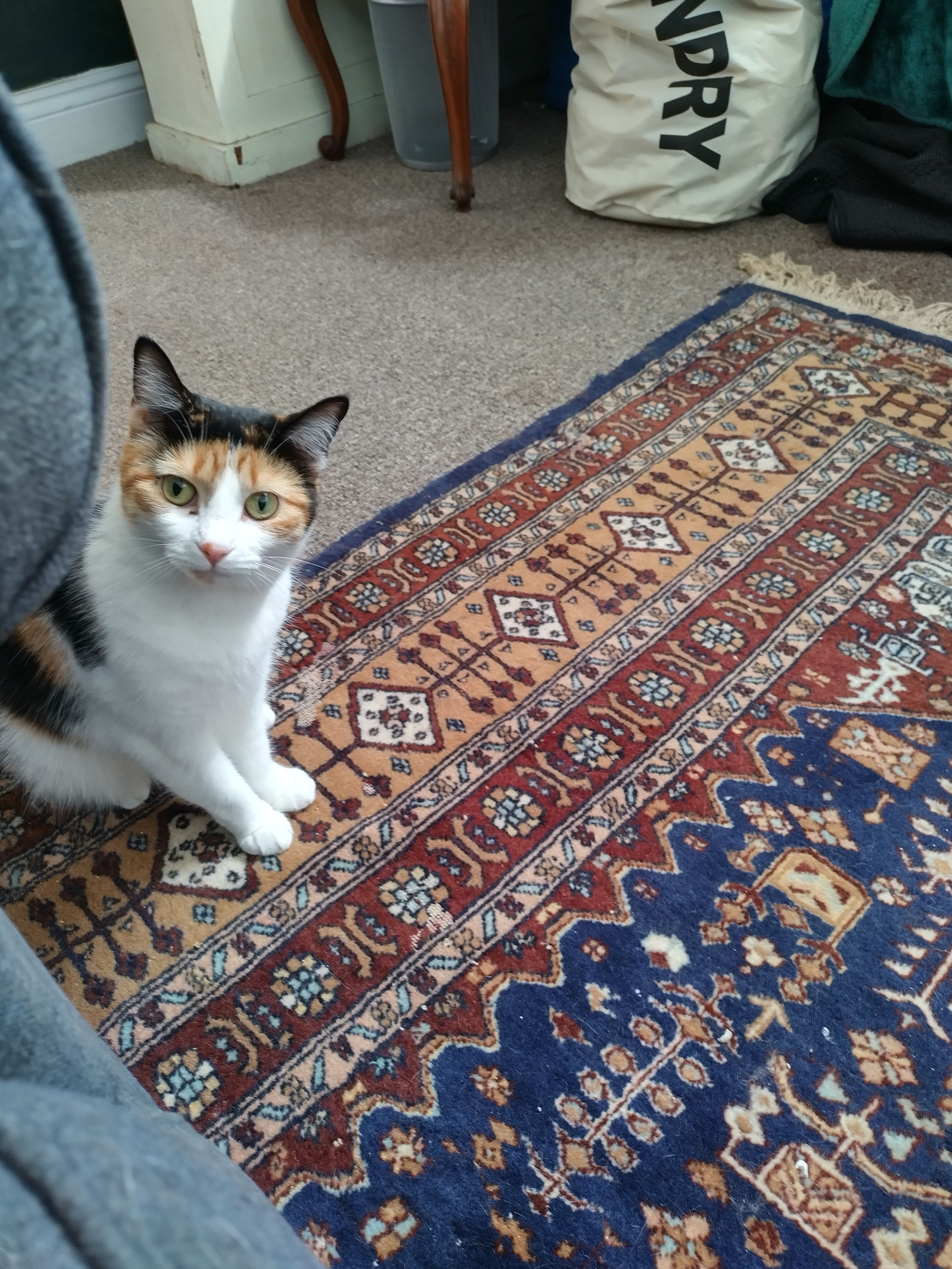 image-7