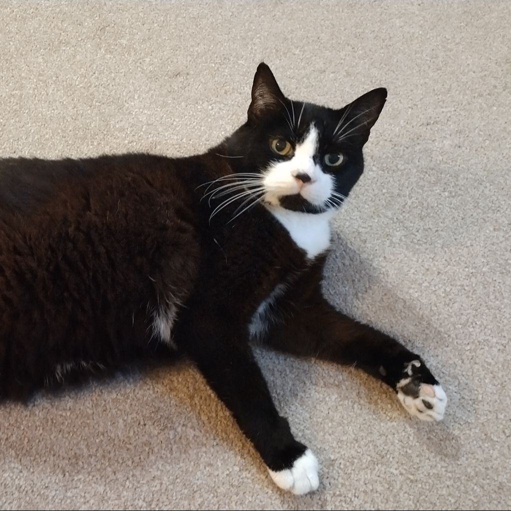 BOOTSY