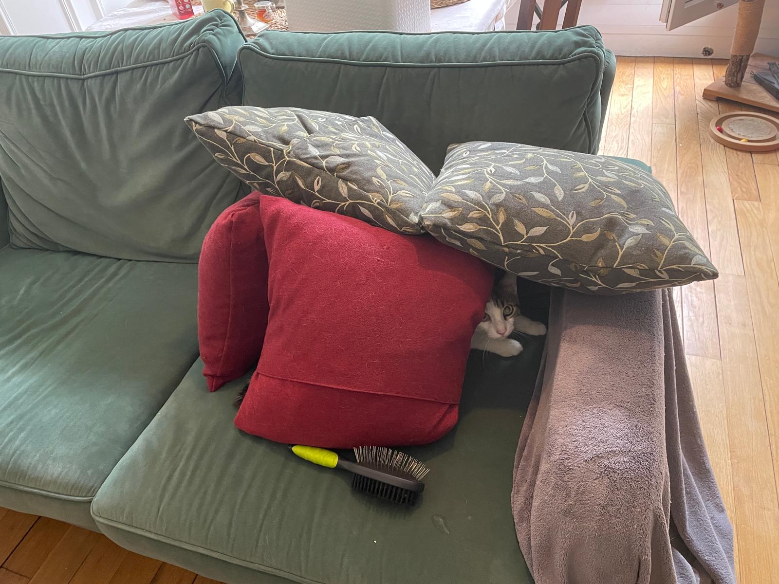 image-14
