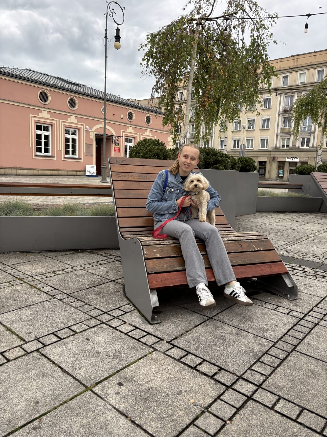 image-8