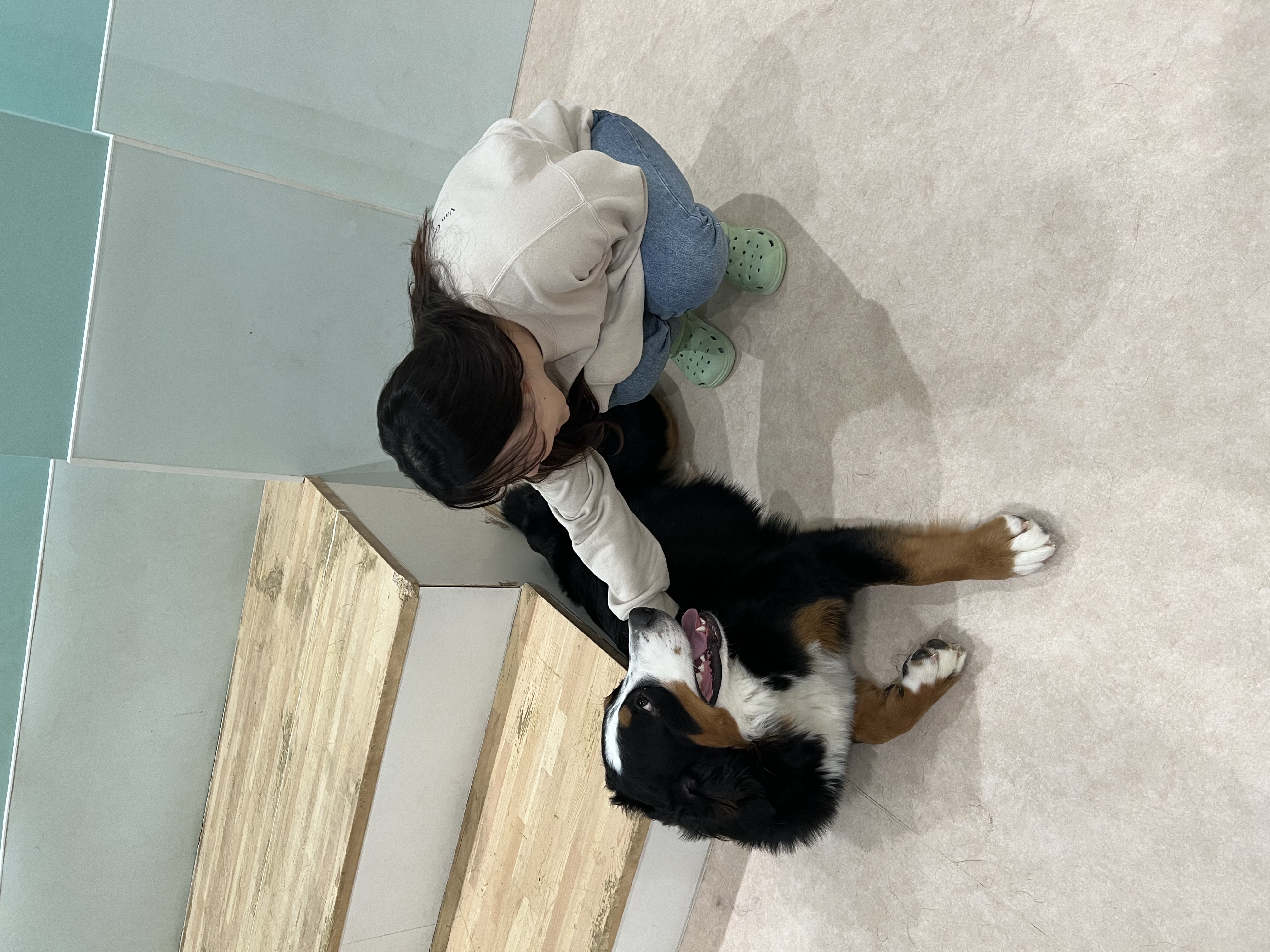image-8