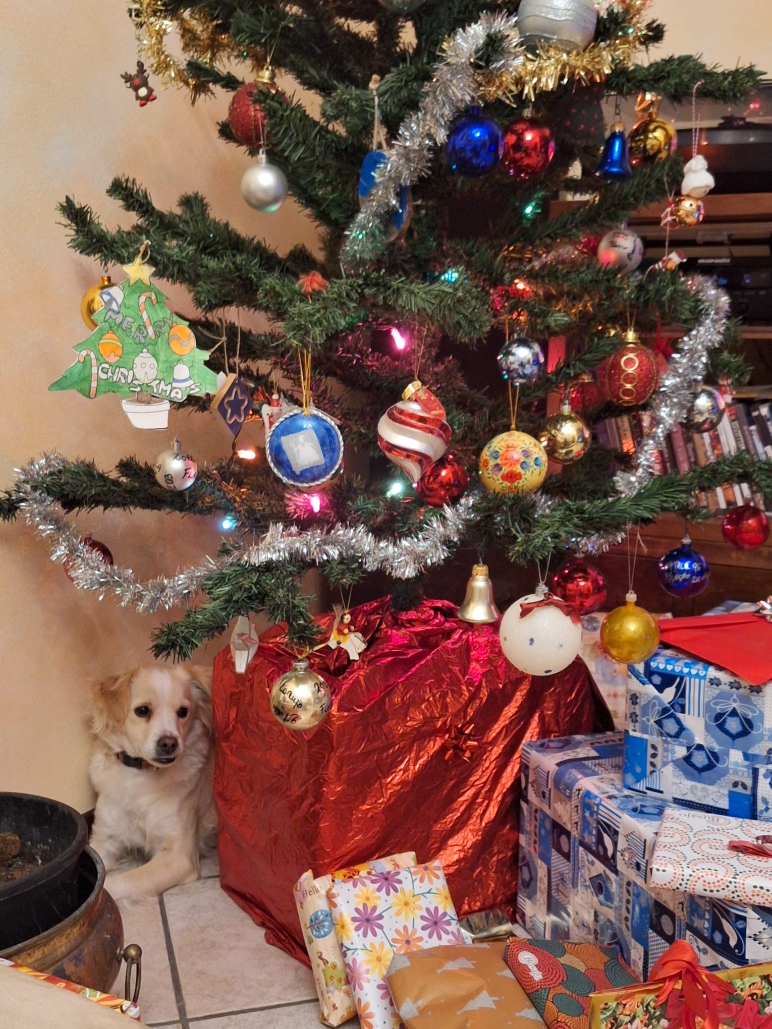 image-6