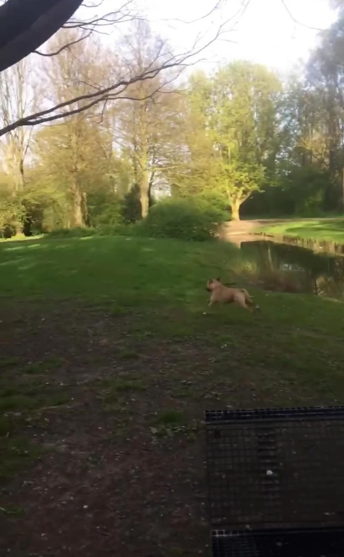 image-67