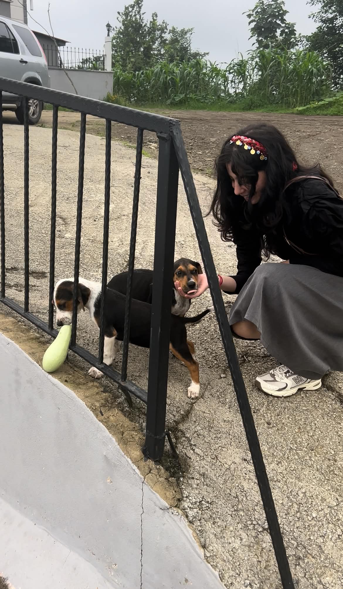 image-18
