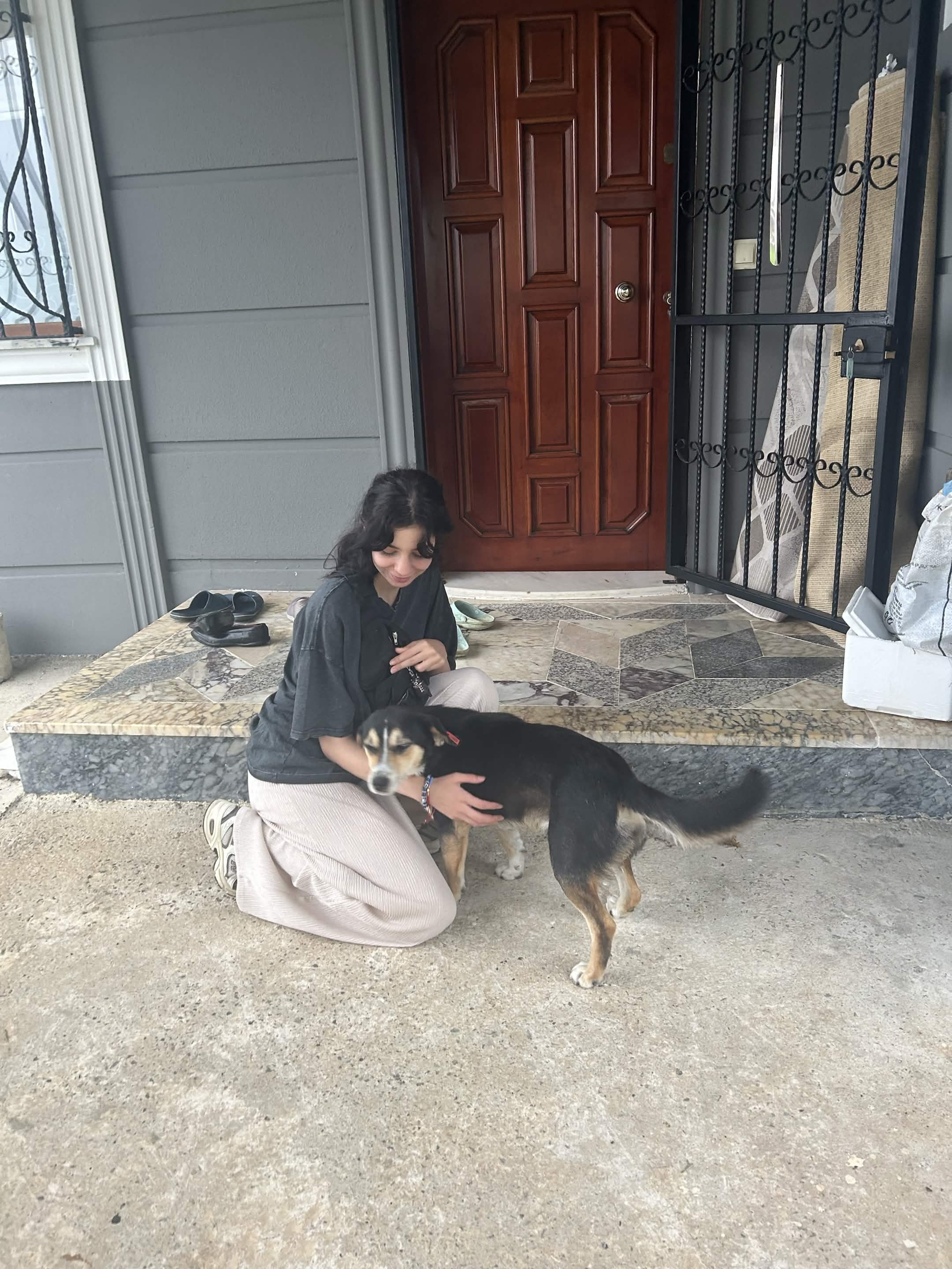 image-19