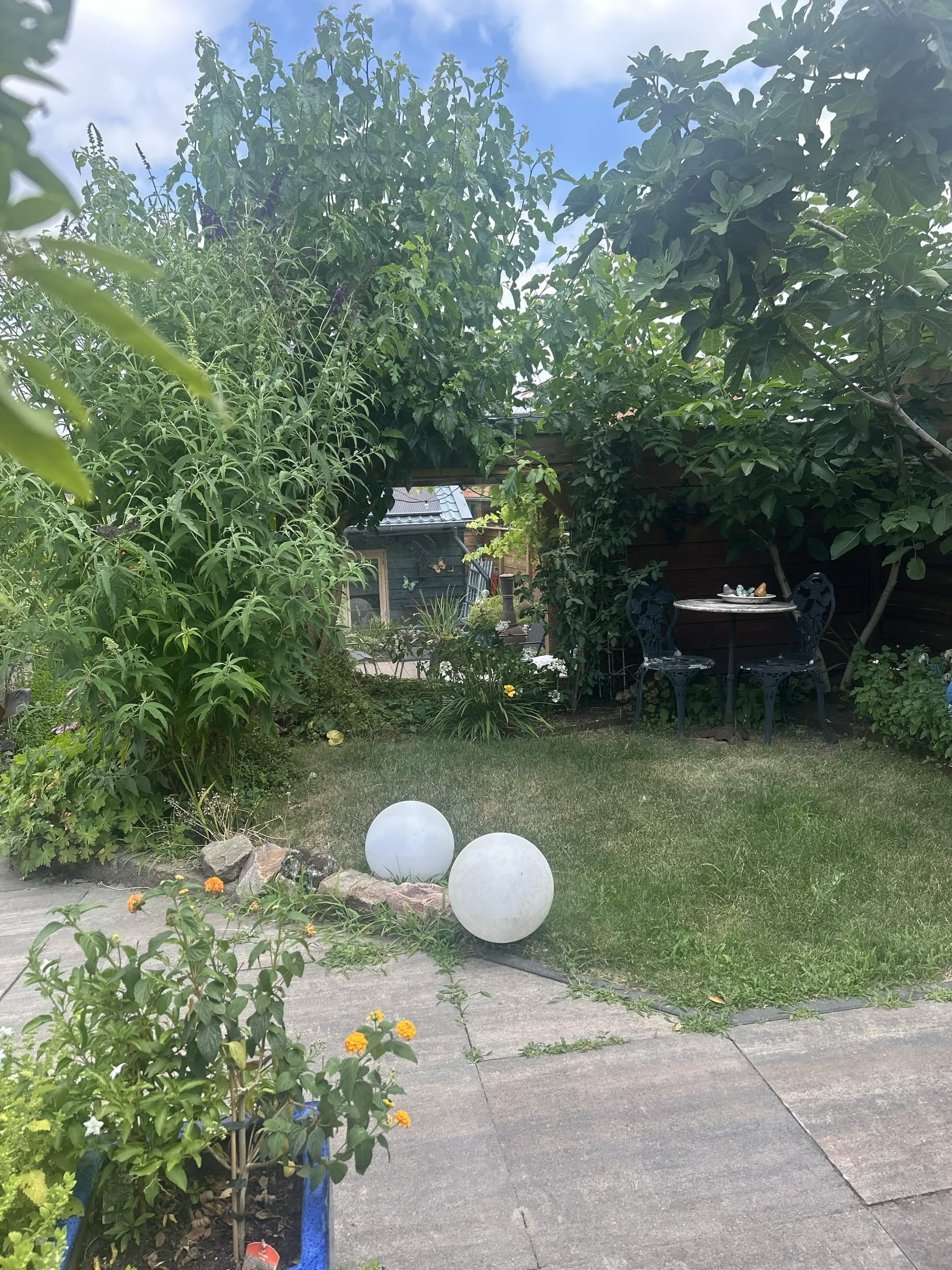 image-41