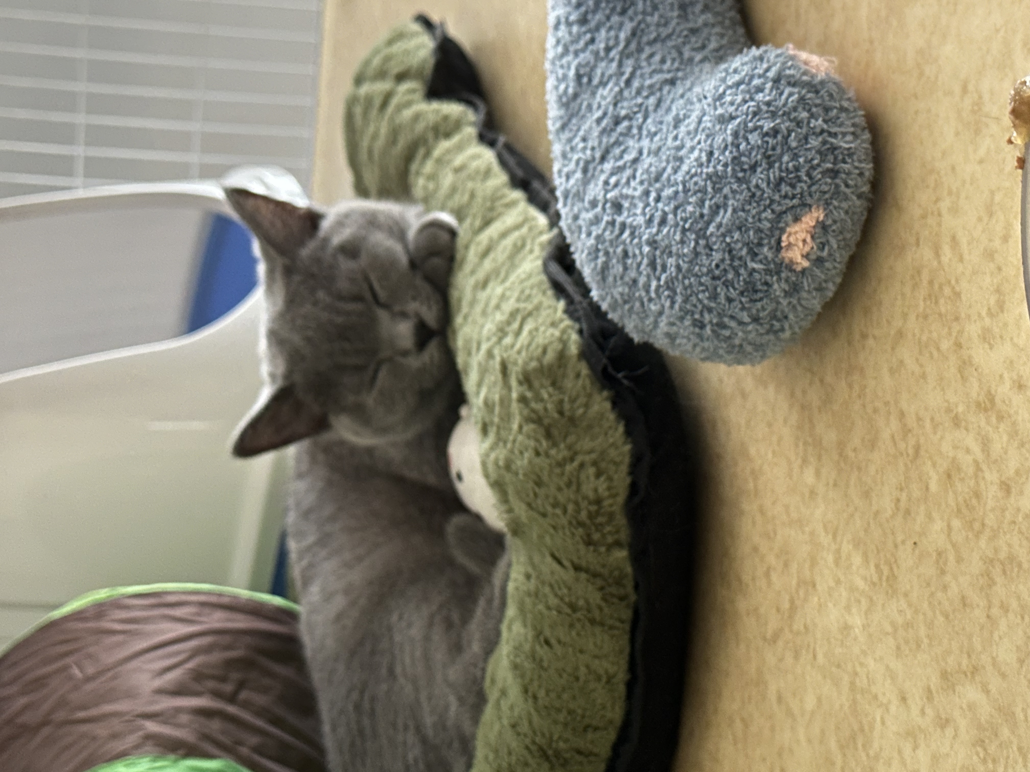 image-14