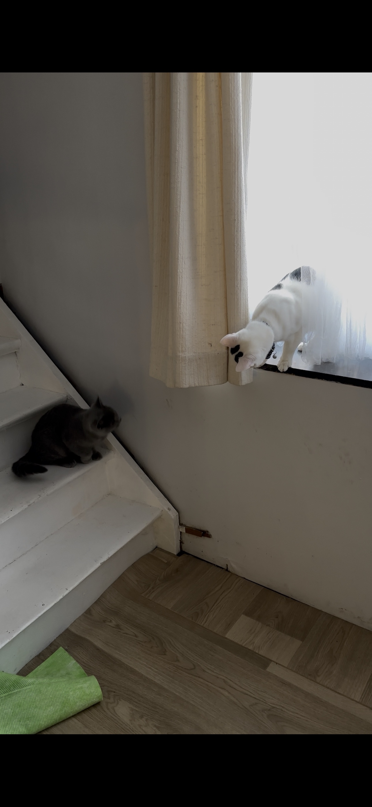 image-18