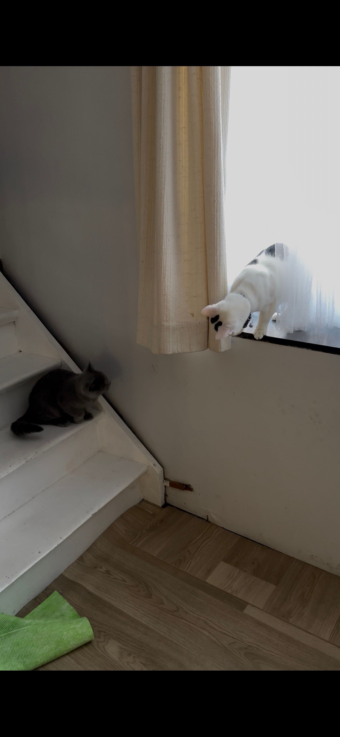 image-18